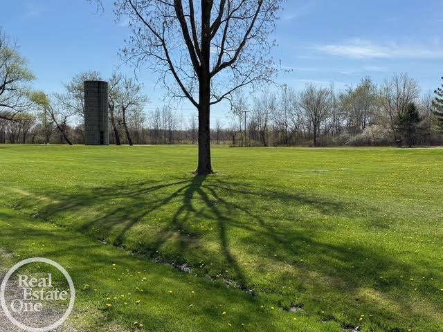 15594 Bryce Road, Capac, MI 48014 — Photo 6