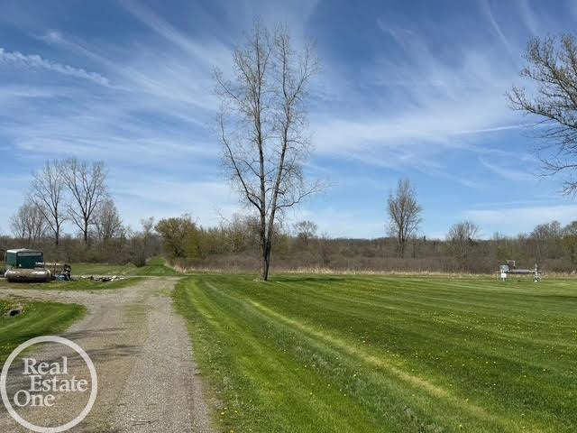 15594 Bryce Road, Capac, MI 48014 — Photo 7