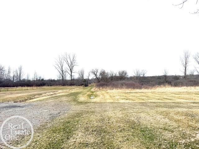 15594 Bryce Road, Capac, MI 48014 — Photo 9