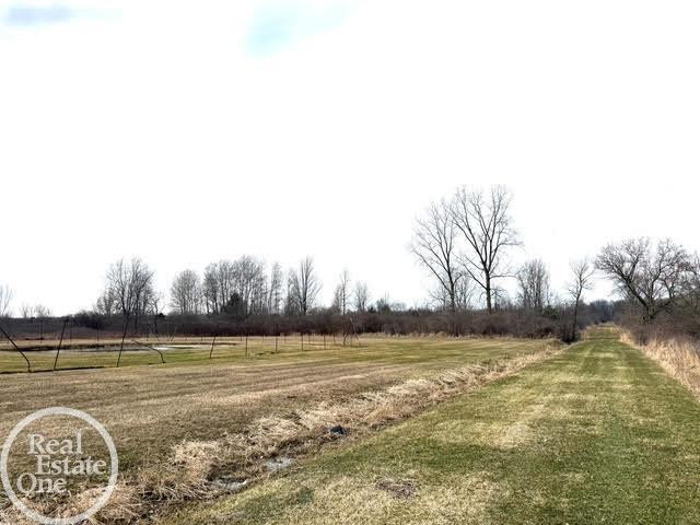 15594 Bryce Road, Capac, MI 48014 — Photo 12