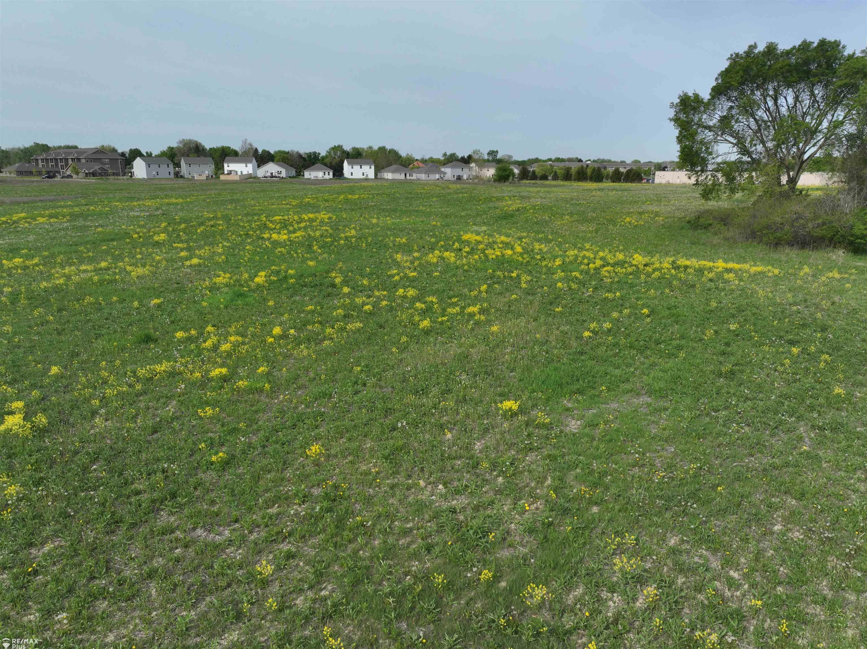 Woodbridge Park Avenue, Lapeer, MI 48446 — Photo 13