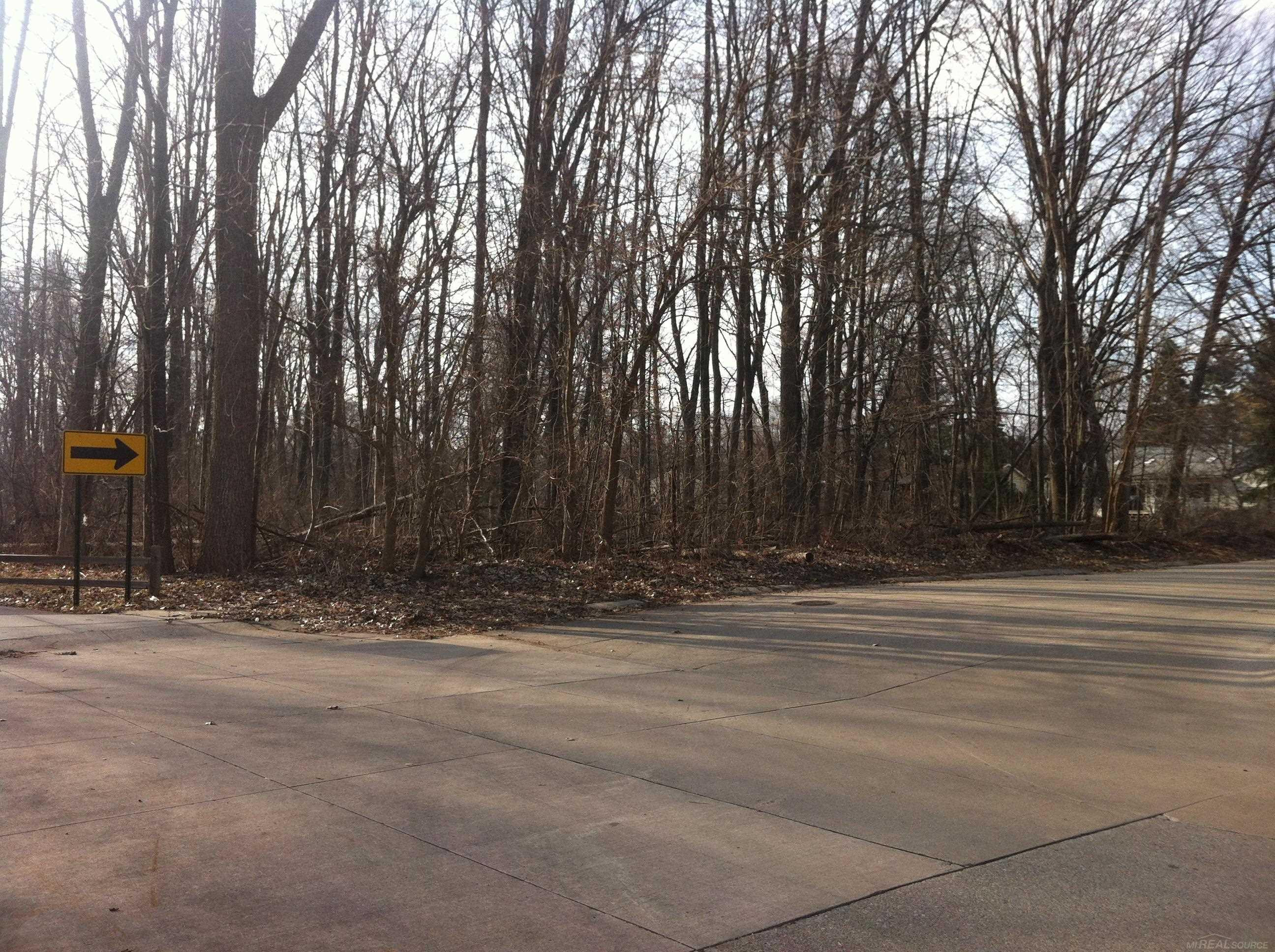 0 Waldo Road, Troy, MI 48085 — Photo 2