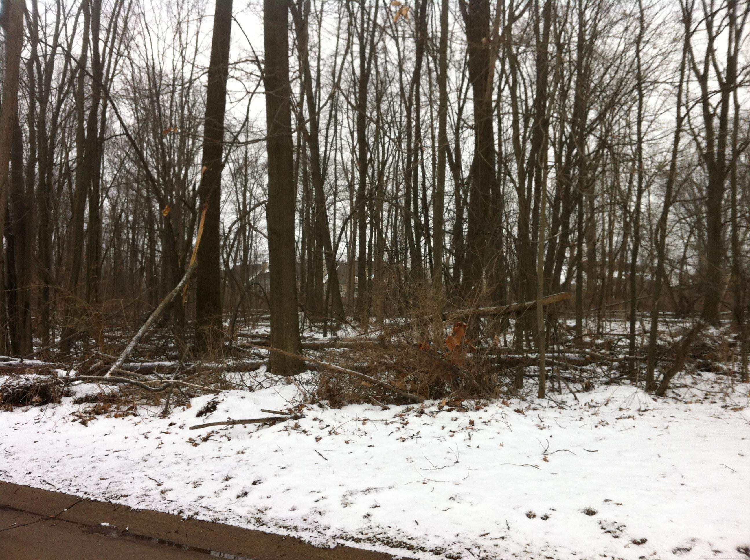 0 Waldo Road, Troy, MI 48085 — Photo 3