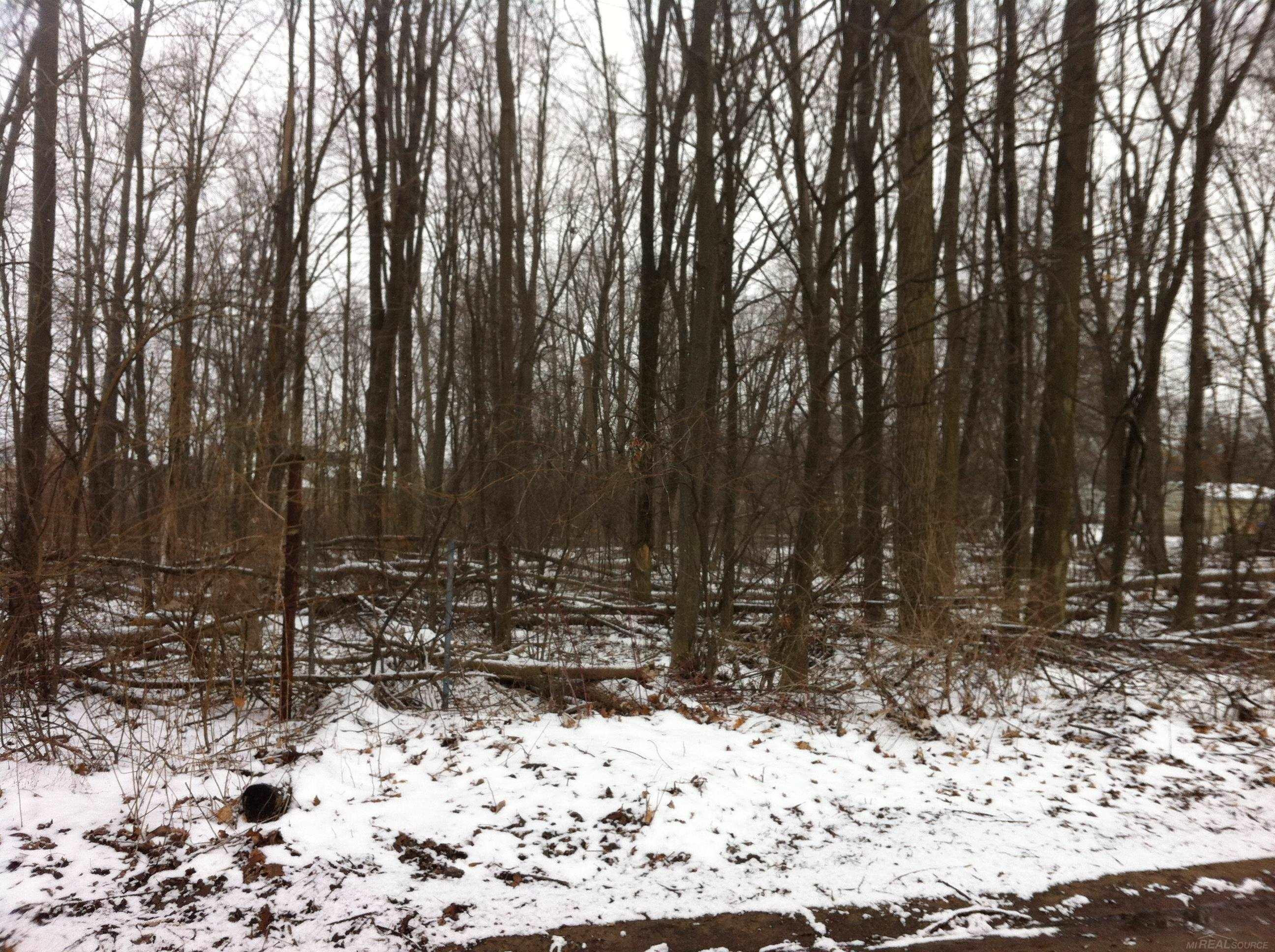 0 Waldo Road, Troy, MI 48085 — Photo 4