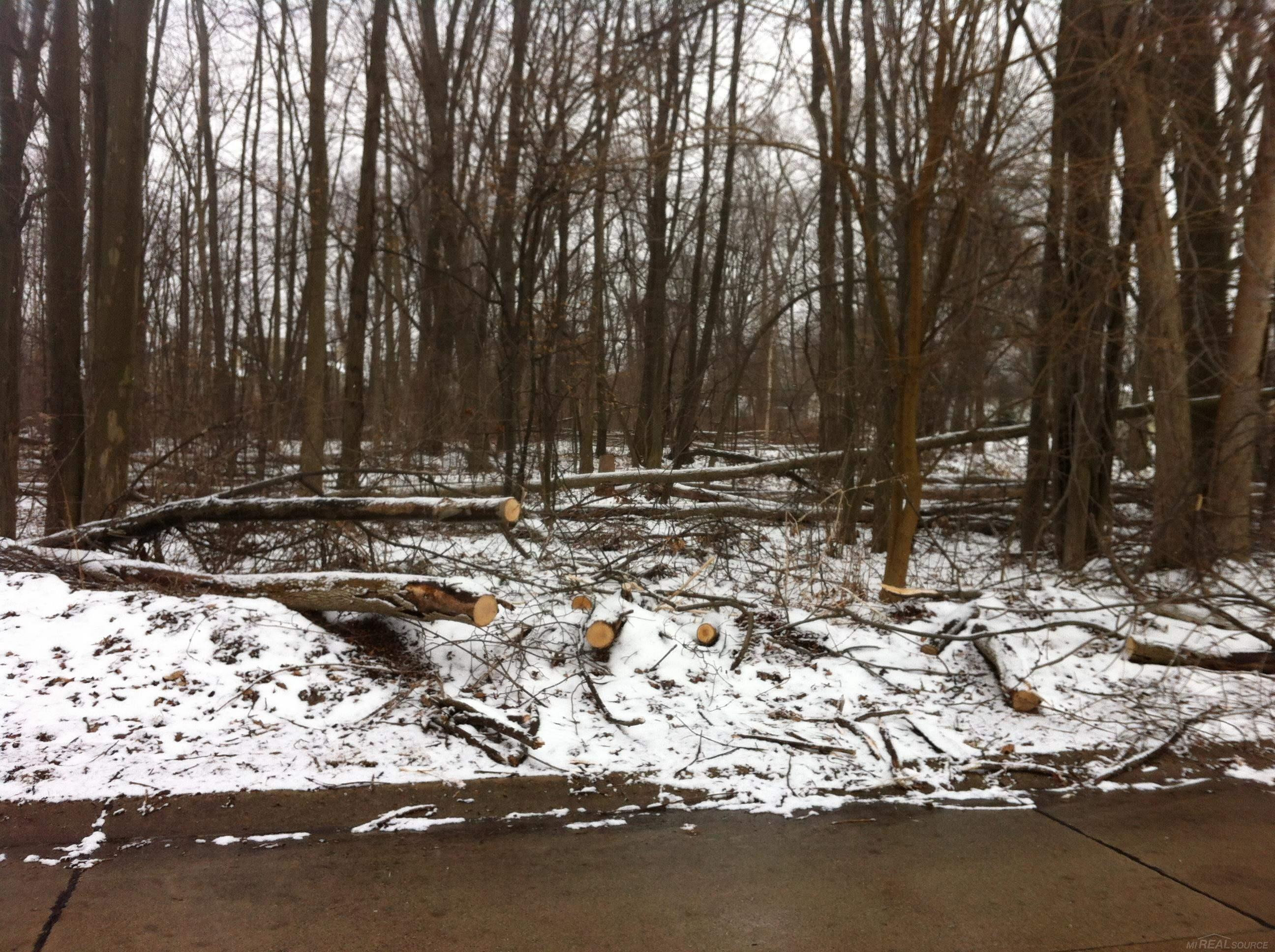 0 Waldo Road, Troy, MI 48085 — Photo 5