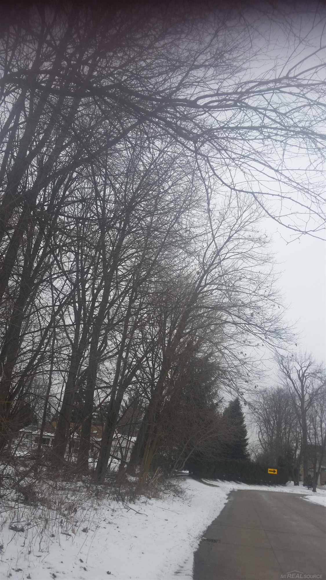 0 Waldo Road, Troy, MI 48085 — Photo 6