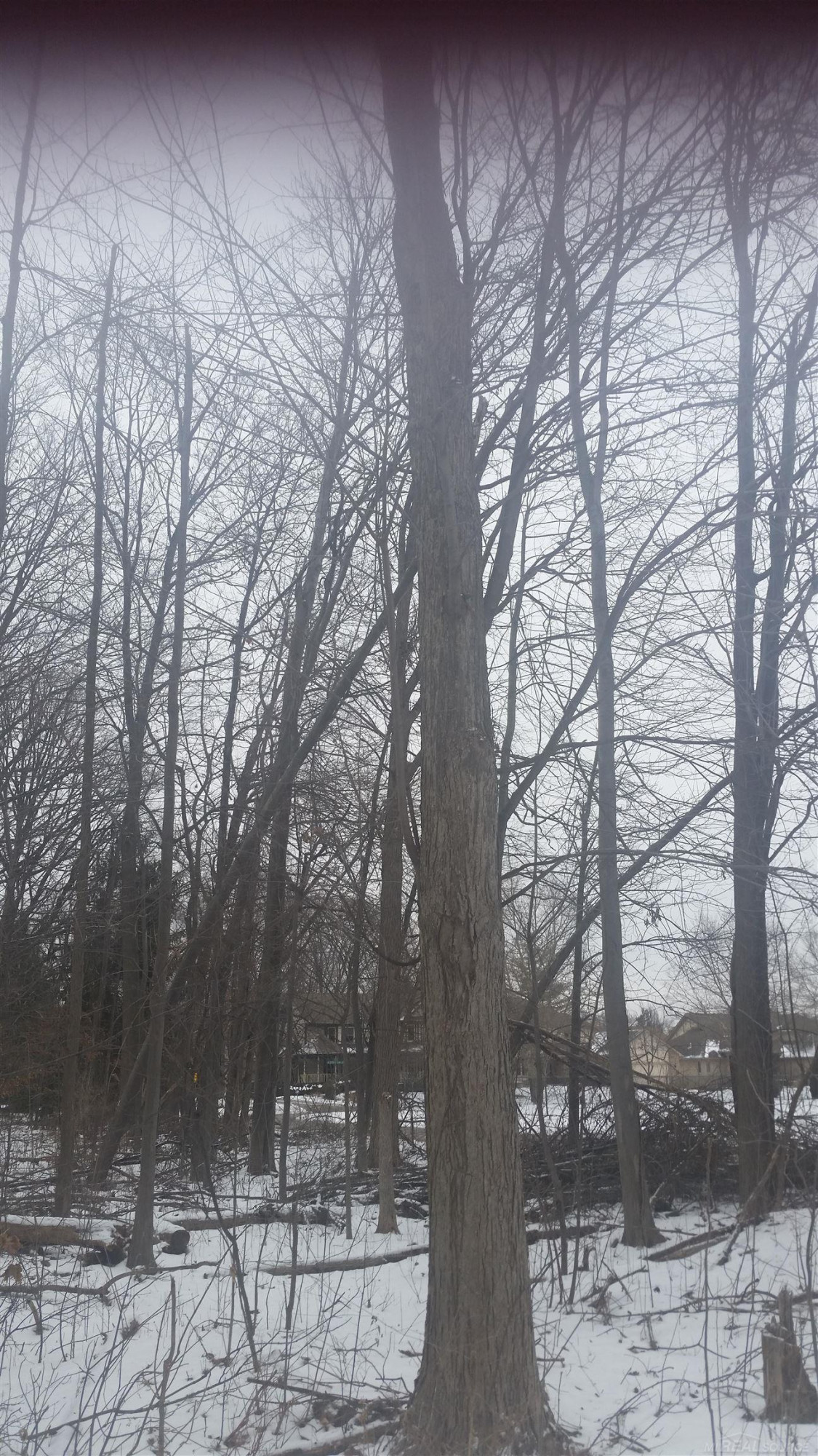 0 Waldo Road, Troy, MI 48085 — Photo 7