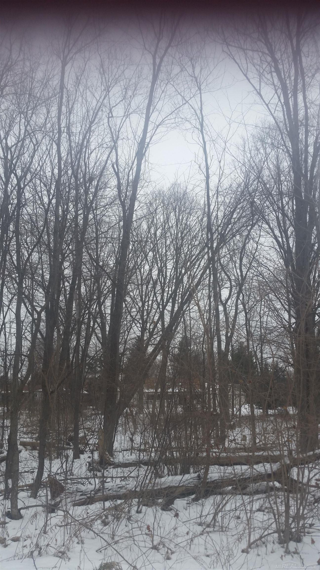 0 Waldo Road, Troy, MI 48085 — Photo 8