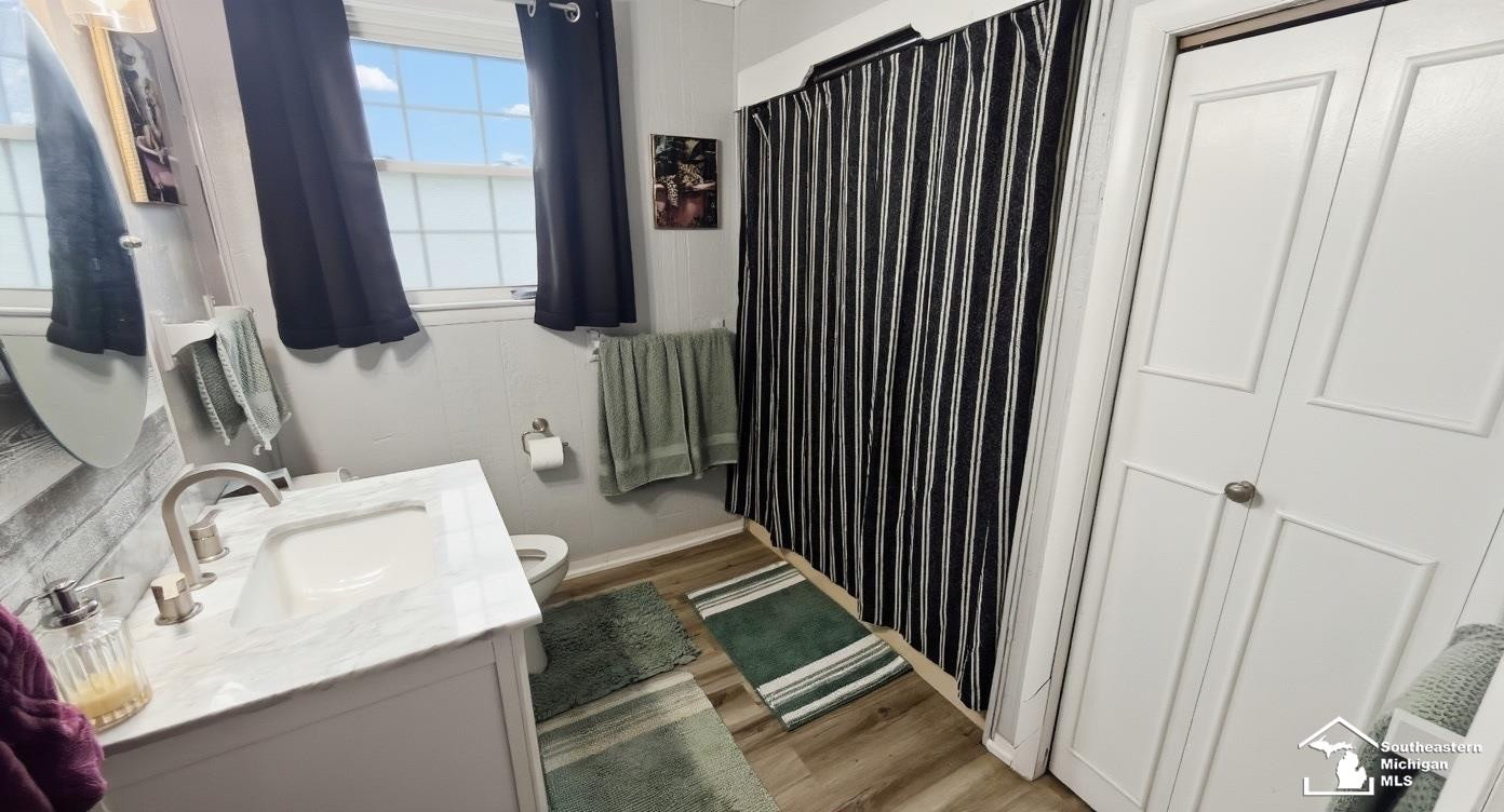 230 E Center Street, Petersburg, MI 49270 — Photo 16