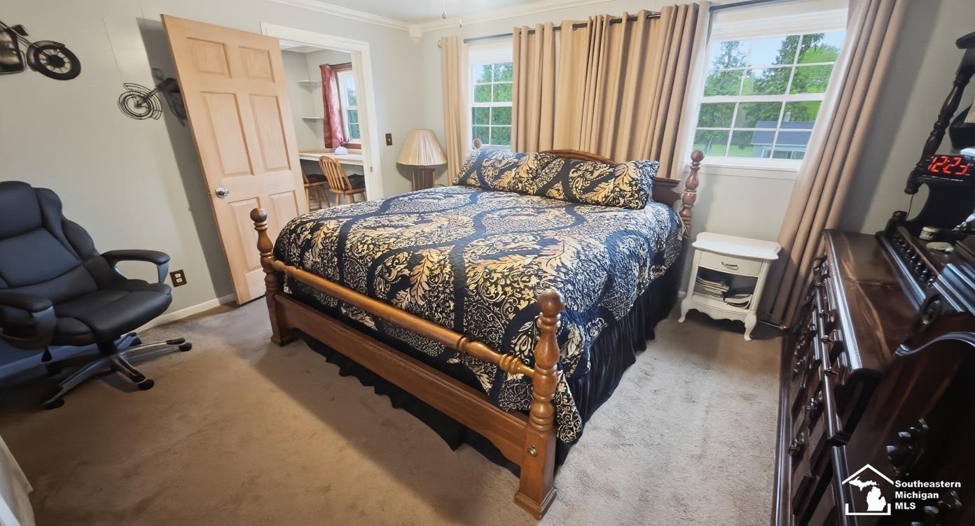 230 E Center Street, Petersburg, MI 49270 — Photo 22