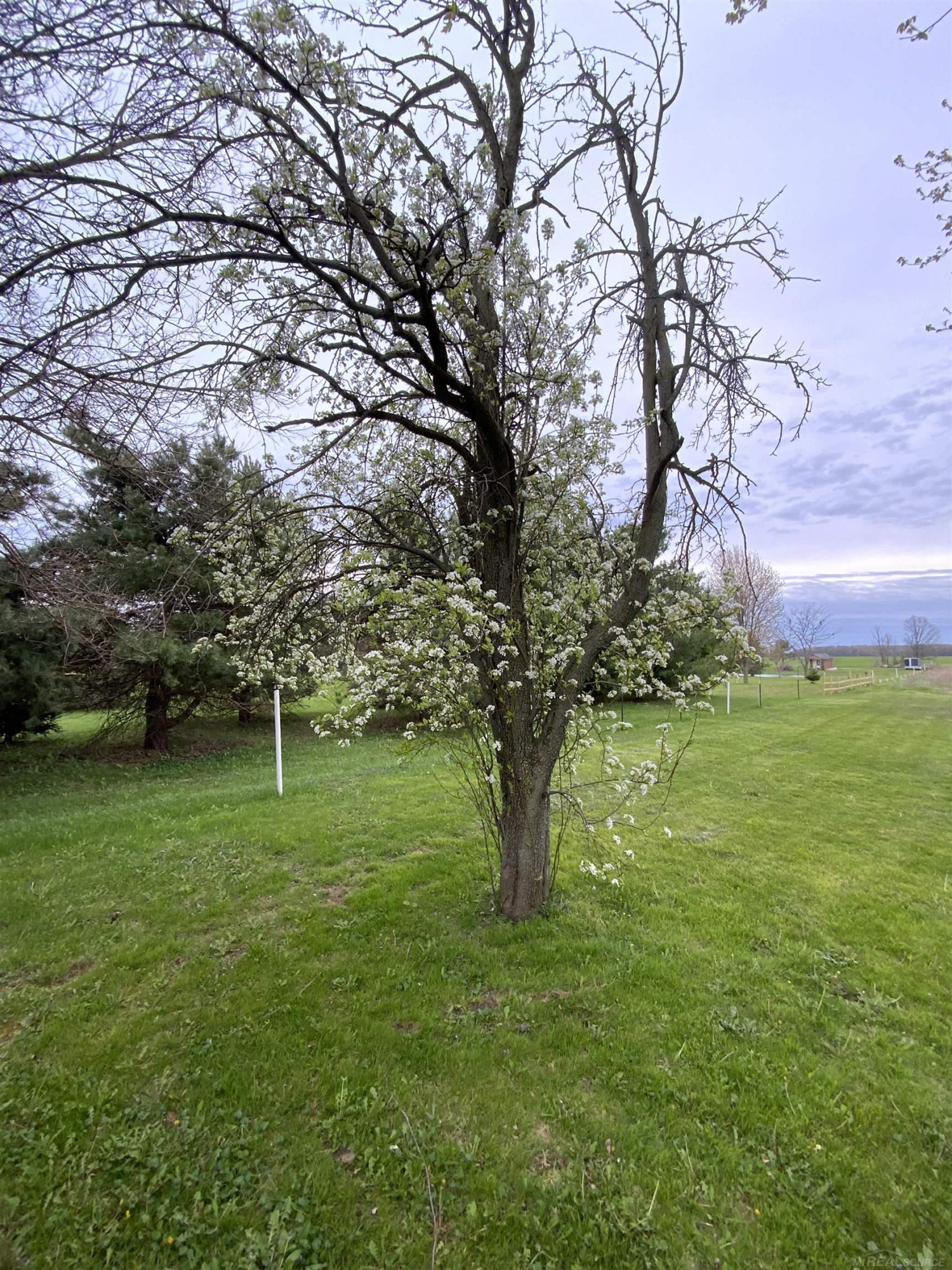 3268 Peck Road, Croswell, MI 48422 — Photo 16
