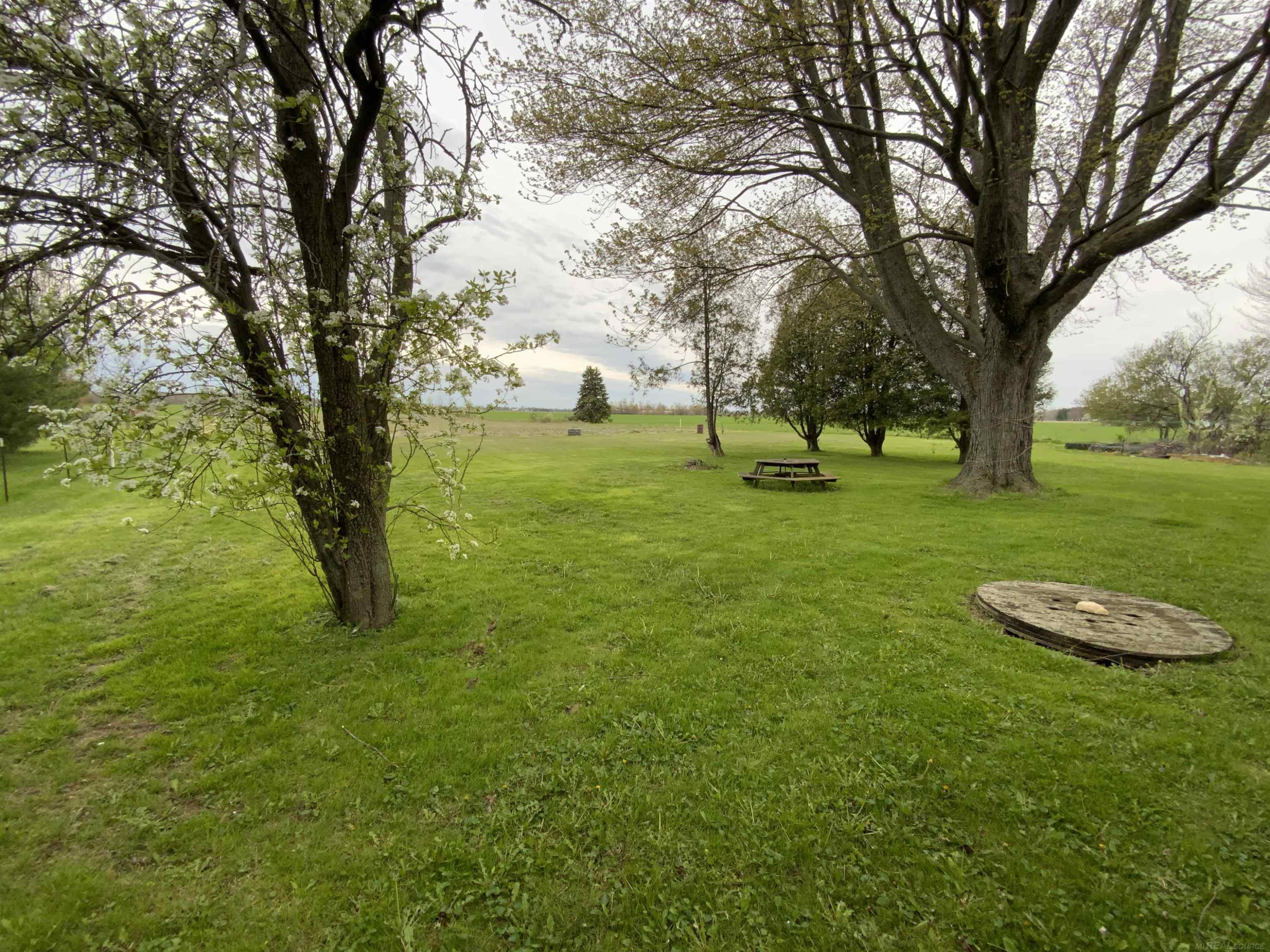 3268 Peck Road, Croswell, MI 48422 — Photo 17