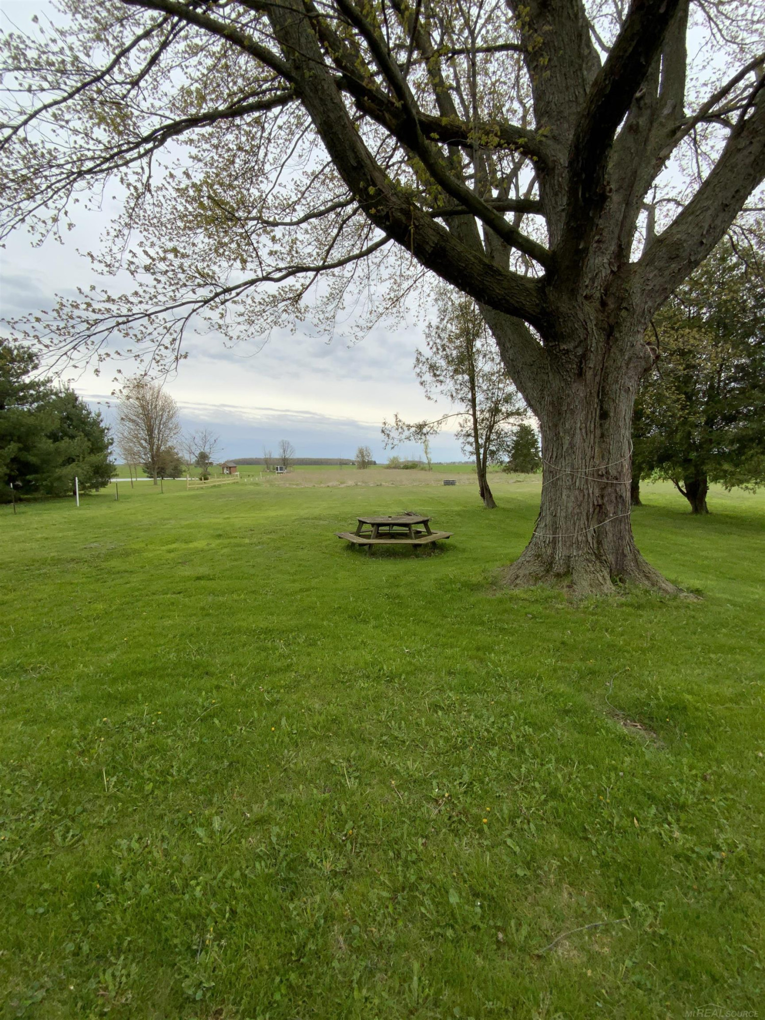 3268 Peck Road, Croswell, MI 48422 — Photo 20