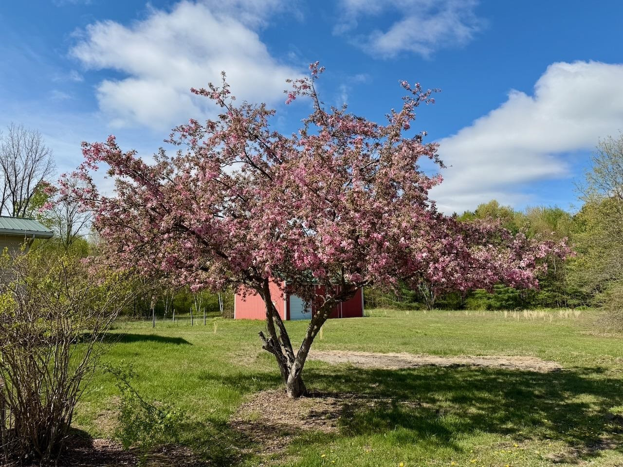 18303 Marion Road, Brant, MI 48614 — Photo 10