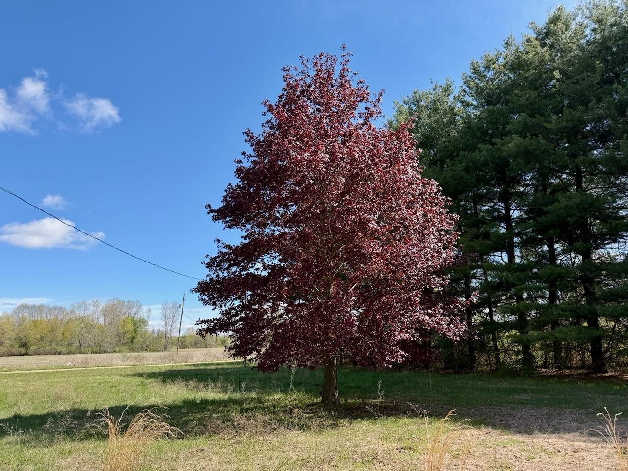 18303 Marion Road, Brant, MI 48614 — Photo 40