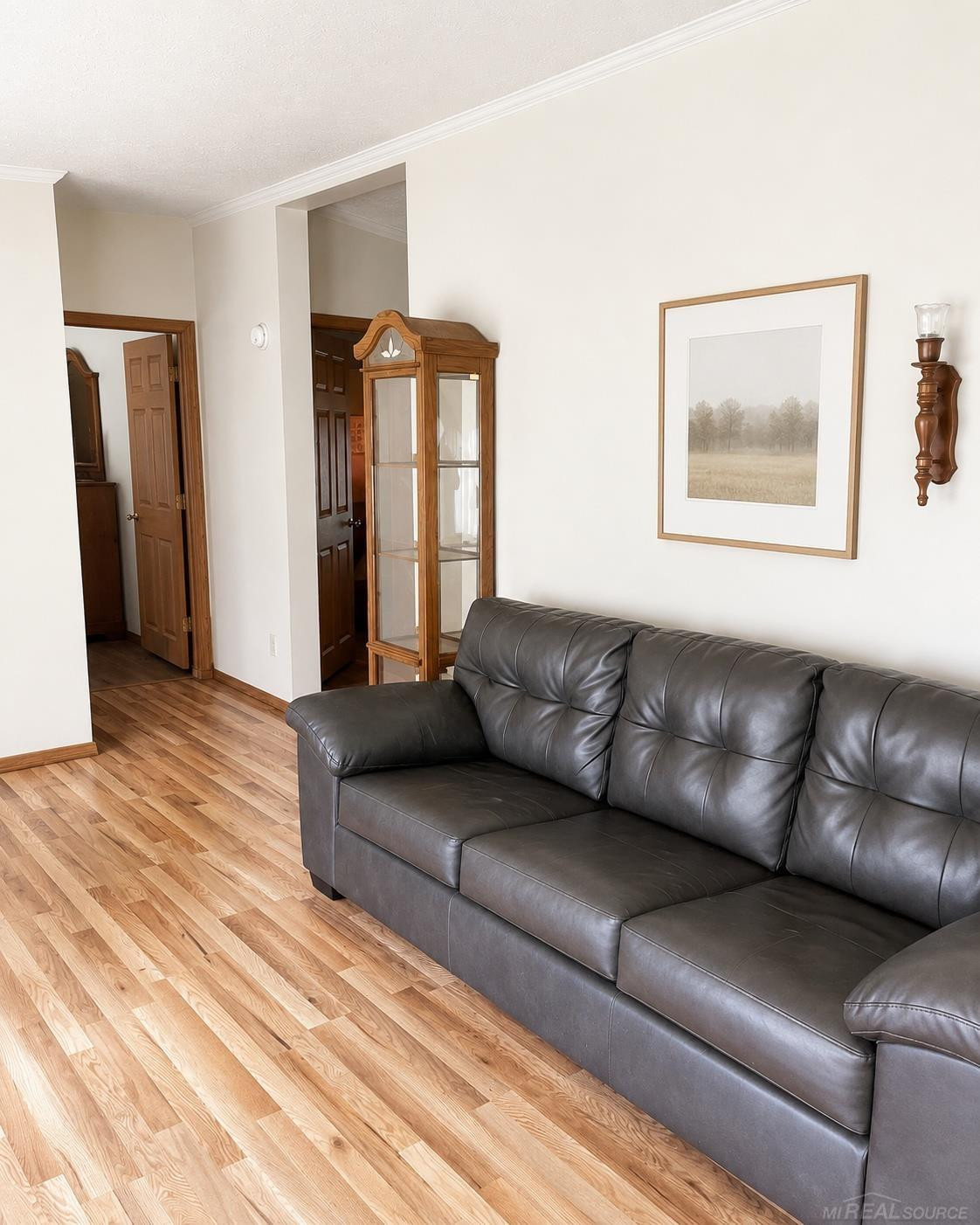 6524 N 96th Avenue, Hart, MI 49420 — Photo 11