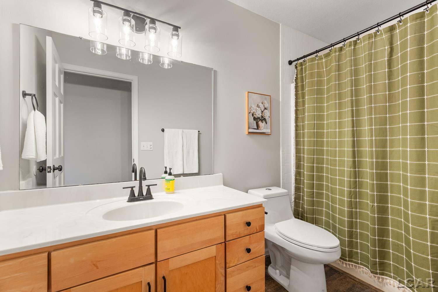 1494 E Gorman Road, Adrian, MI 49221 — Photo 50