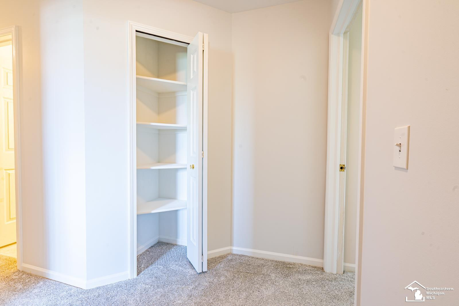203 Dundee Ridge Drive, Dundee, MI 48131 — Photo 29