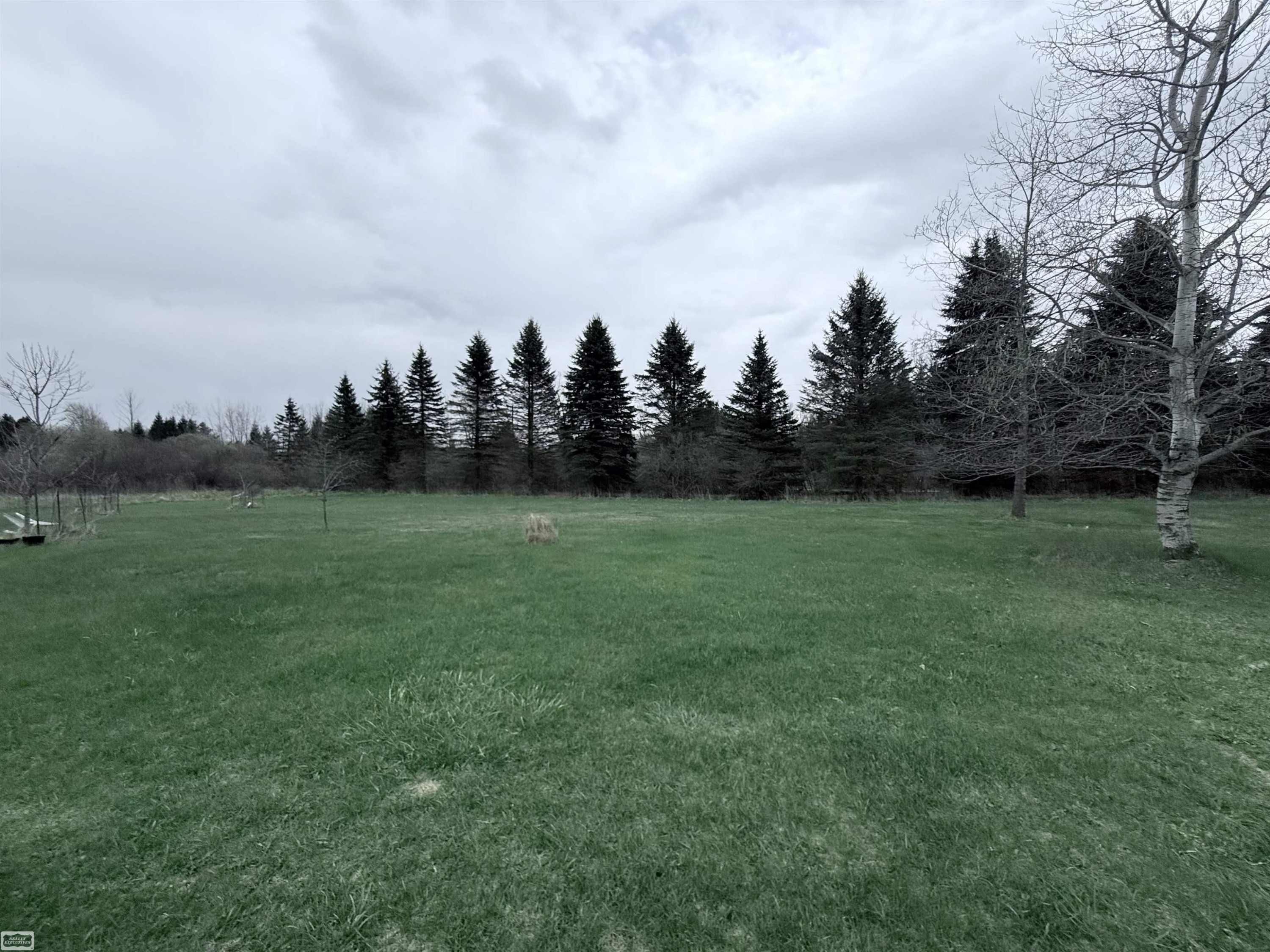 7285 Mayville Rd Road, Marlette, MI 48453 — Photo 2