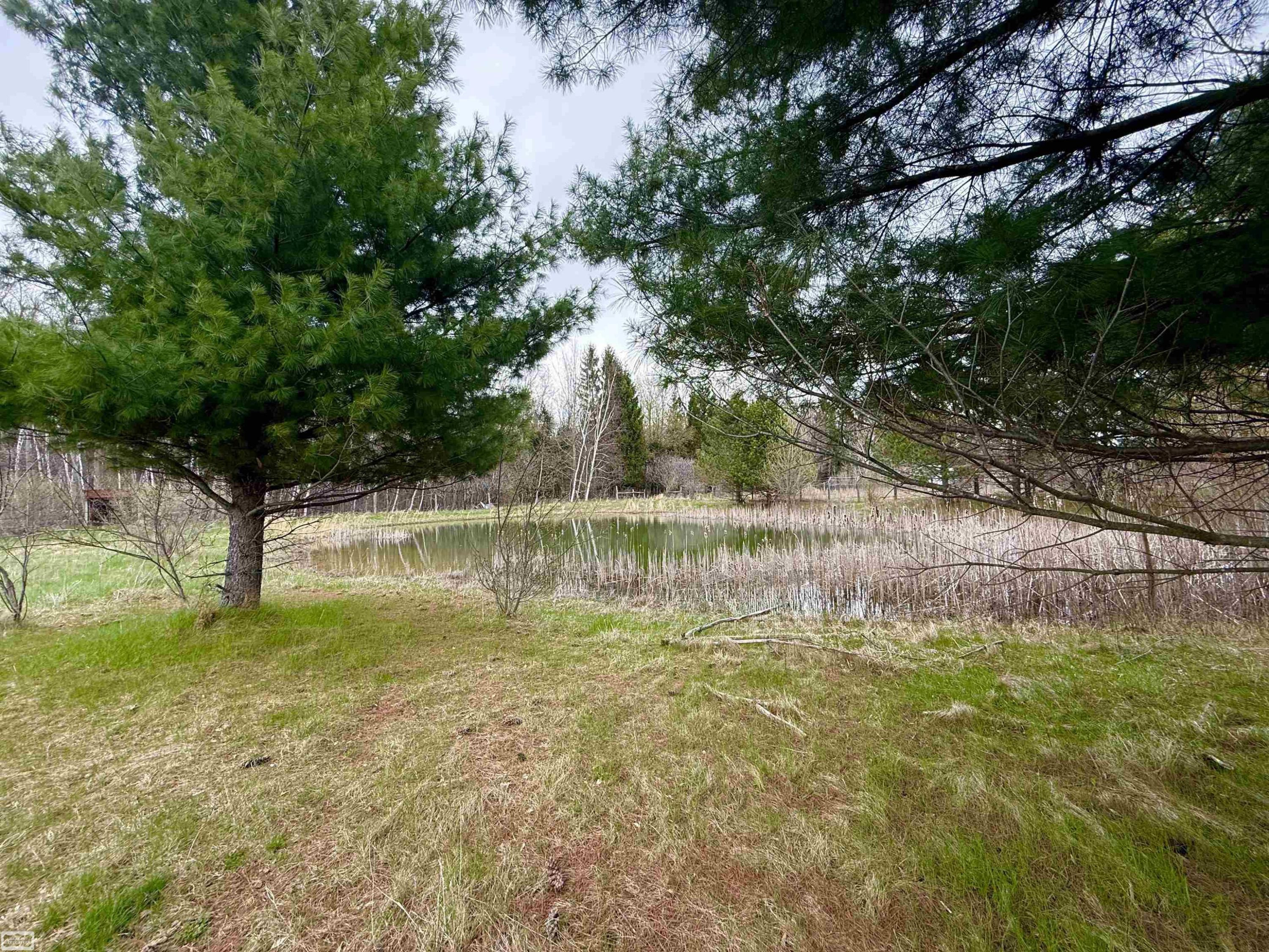7285 Mayville Rd Road, Marlette, MI 48453 — Photo 32