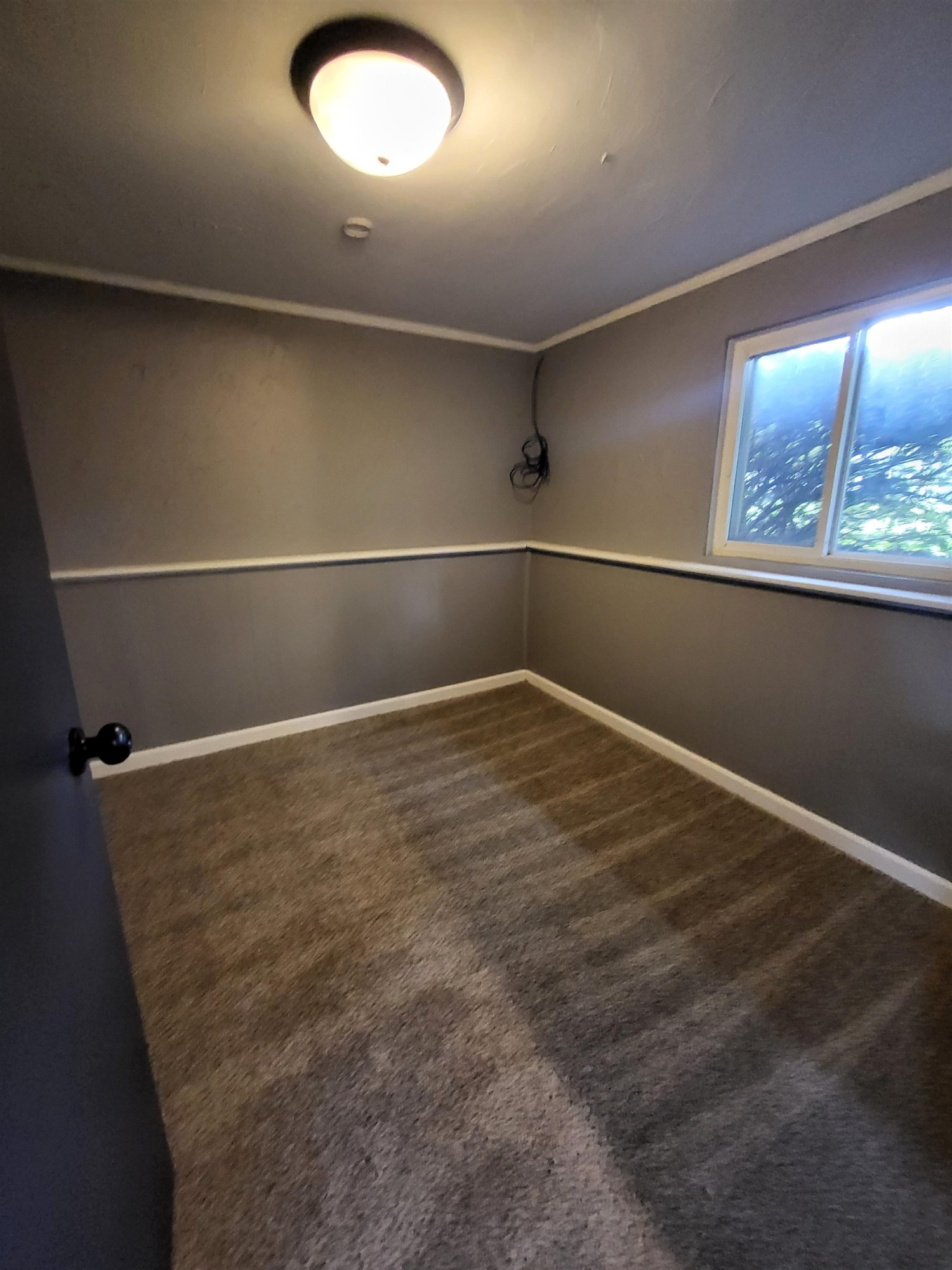 537 Clarion Street, Clio, MI 48420 — Photo 22
