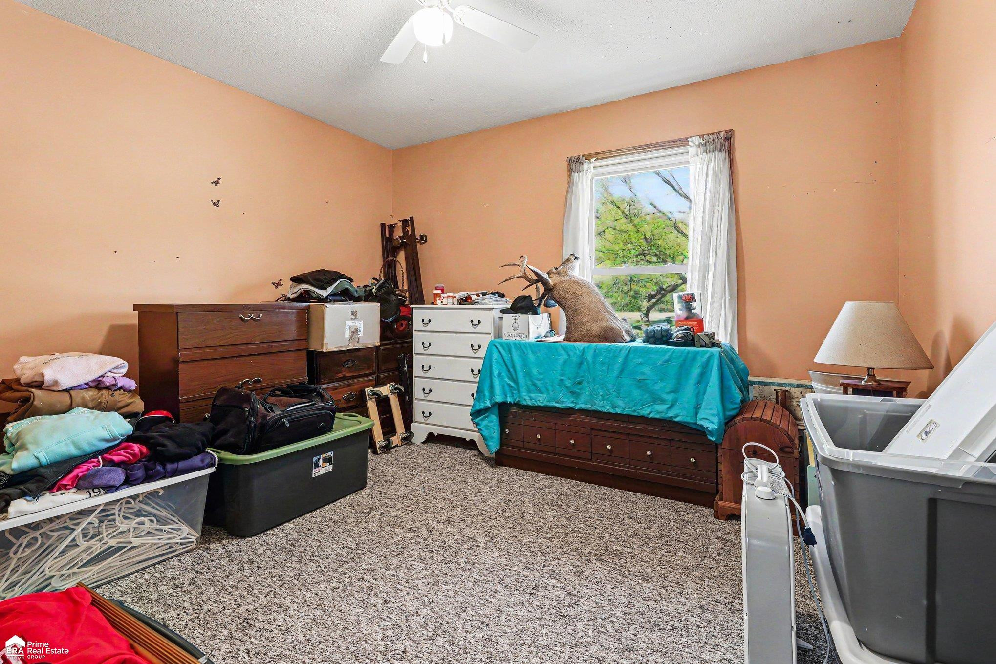 510 E Main Street, Hale, MI 48739 — Photo 14