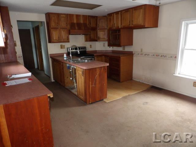 1138 E Hunt Street, Adrian, MI 49221 — Photo 4