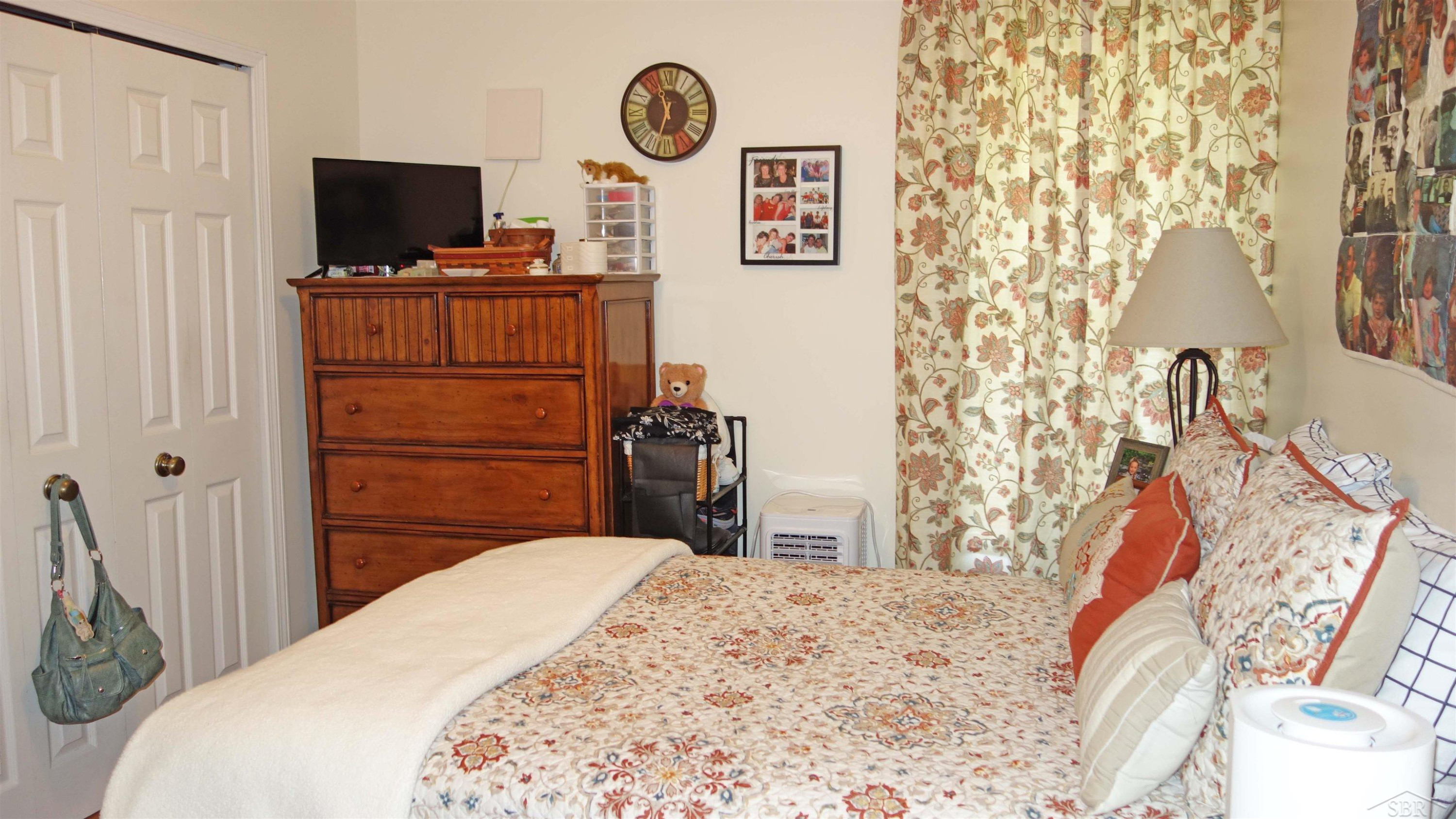 103 S Main Street, Chesaning, MI 48616 — Photo 10