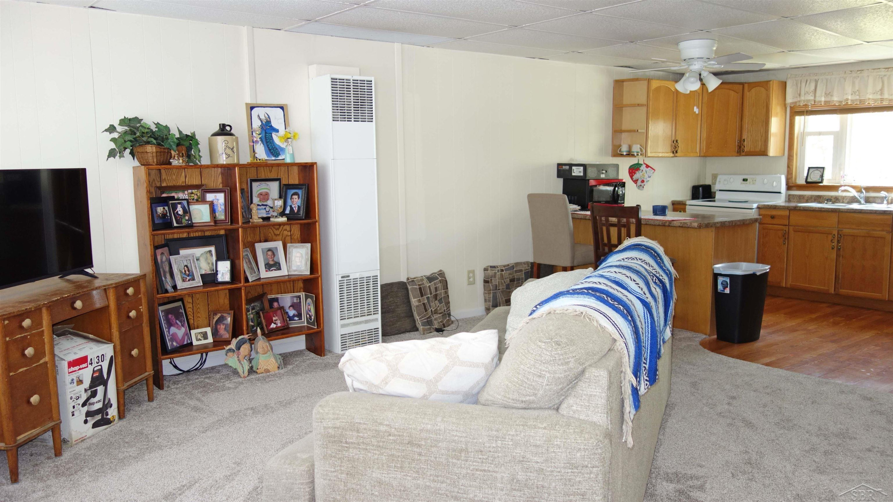 103 S Main Street, Chesaning, MI 48616 — Photo 23