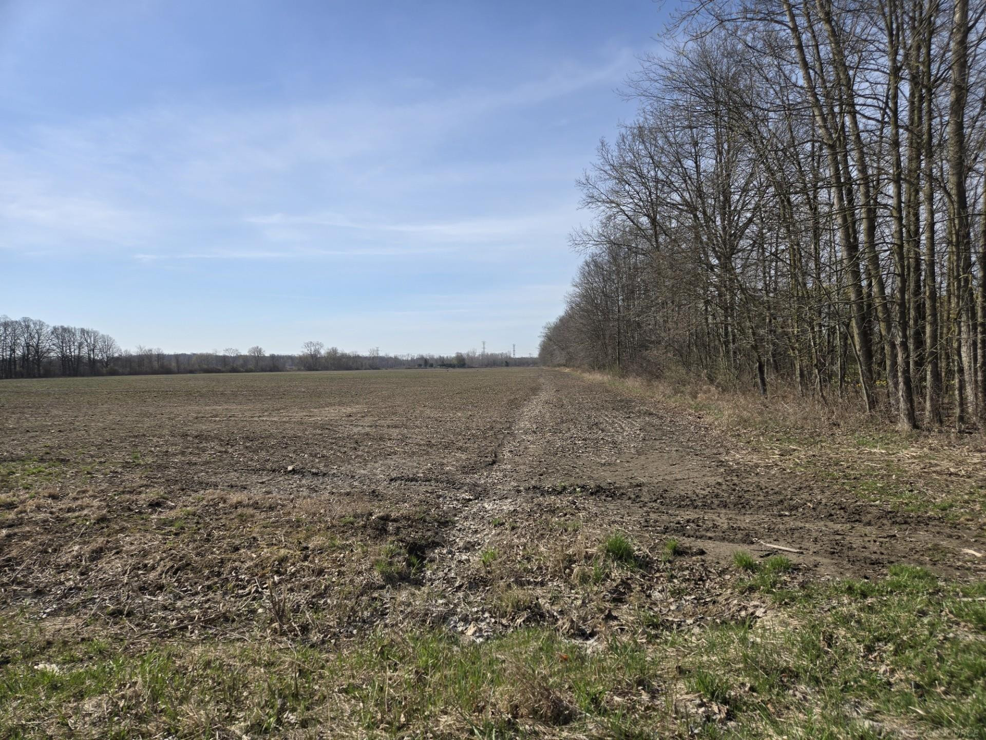 0 Meskill (Lot C) Road, MI