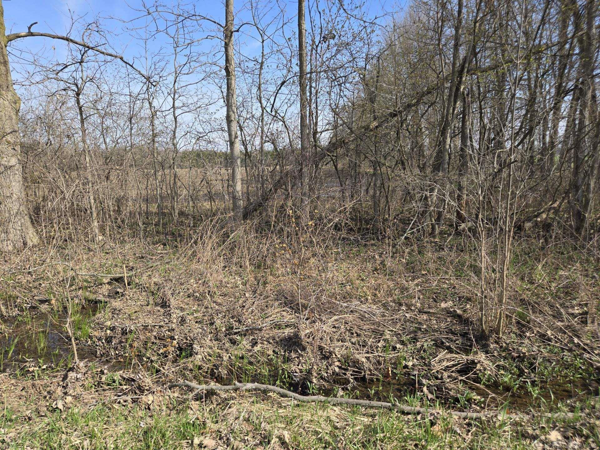 0 Meskill (Lot C) Road, MI — Photo 4