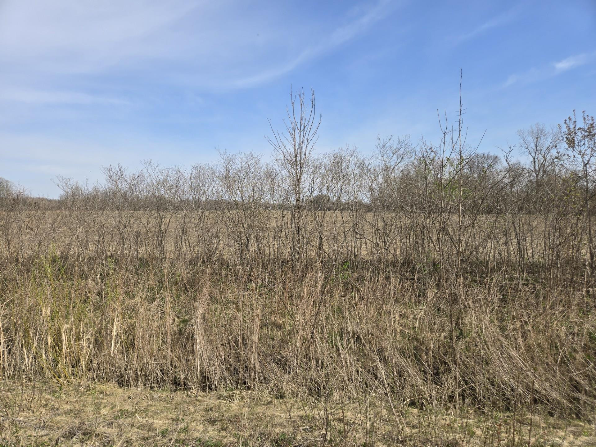 0 Meskill (Lot C) Road, MI — Photo 9