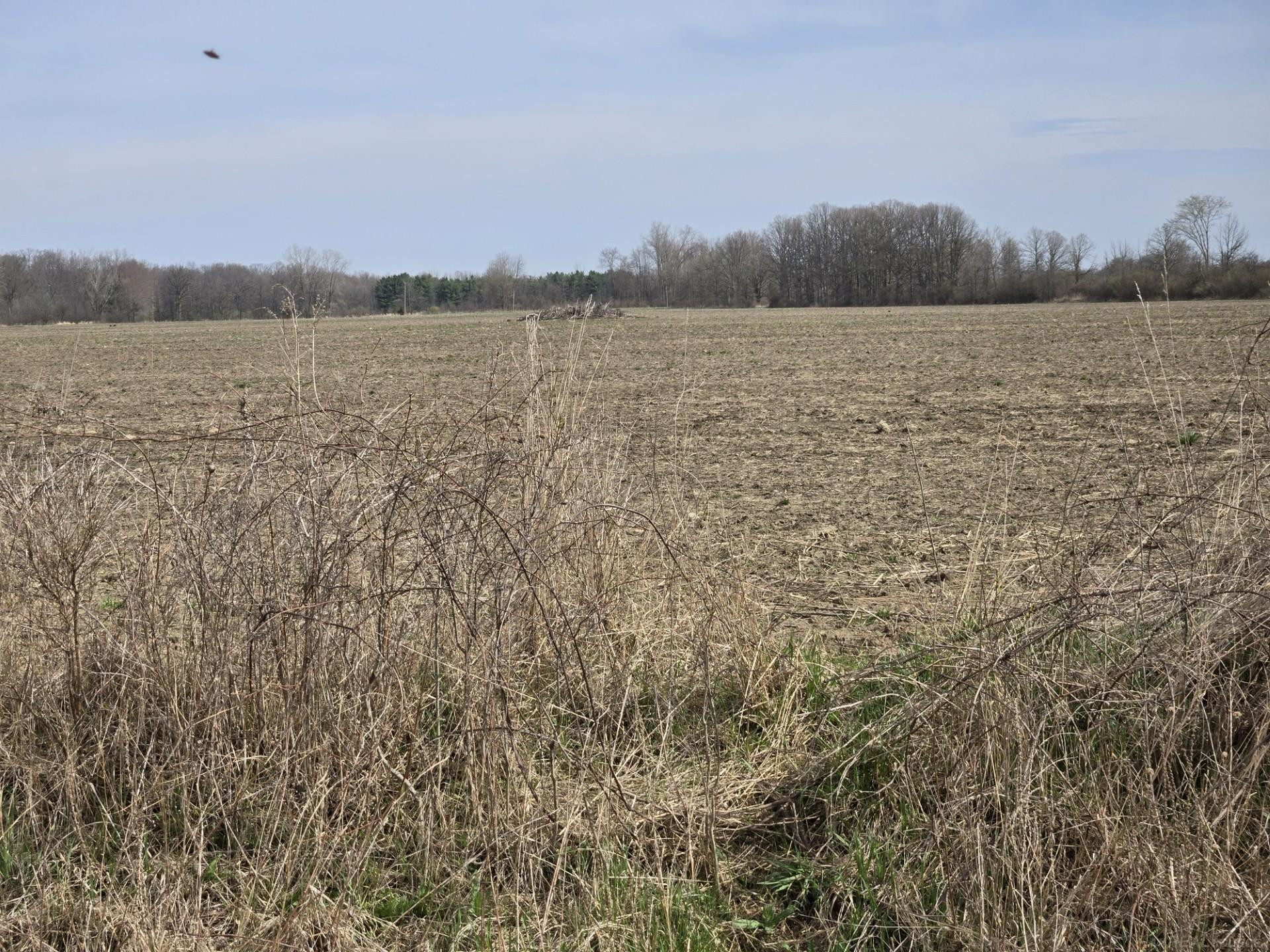 0 Meskill (Lot C) Road, MI — Photo 14