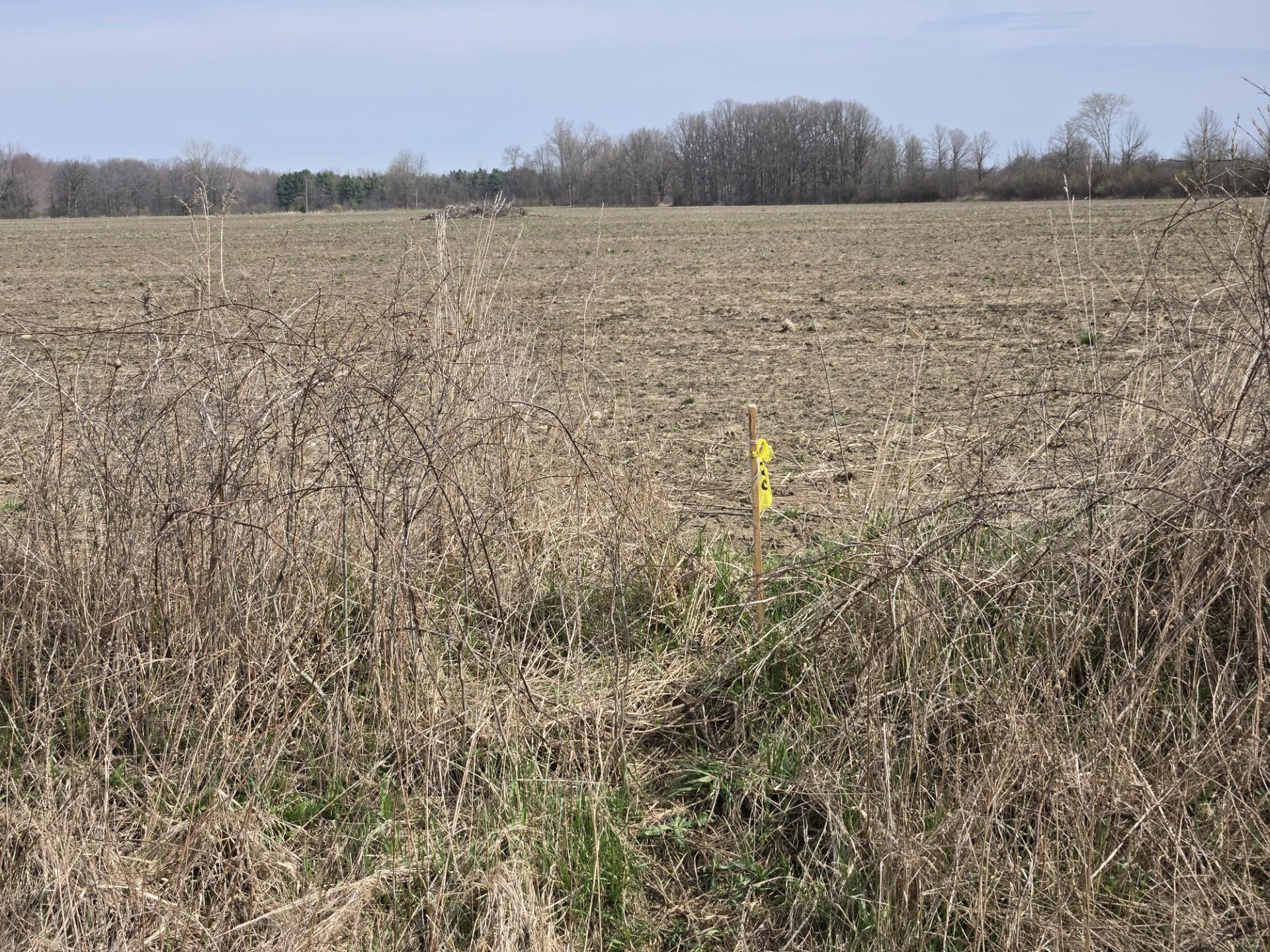 0 Meskill (Lot C) Road, MI — Photo 15