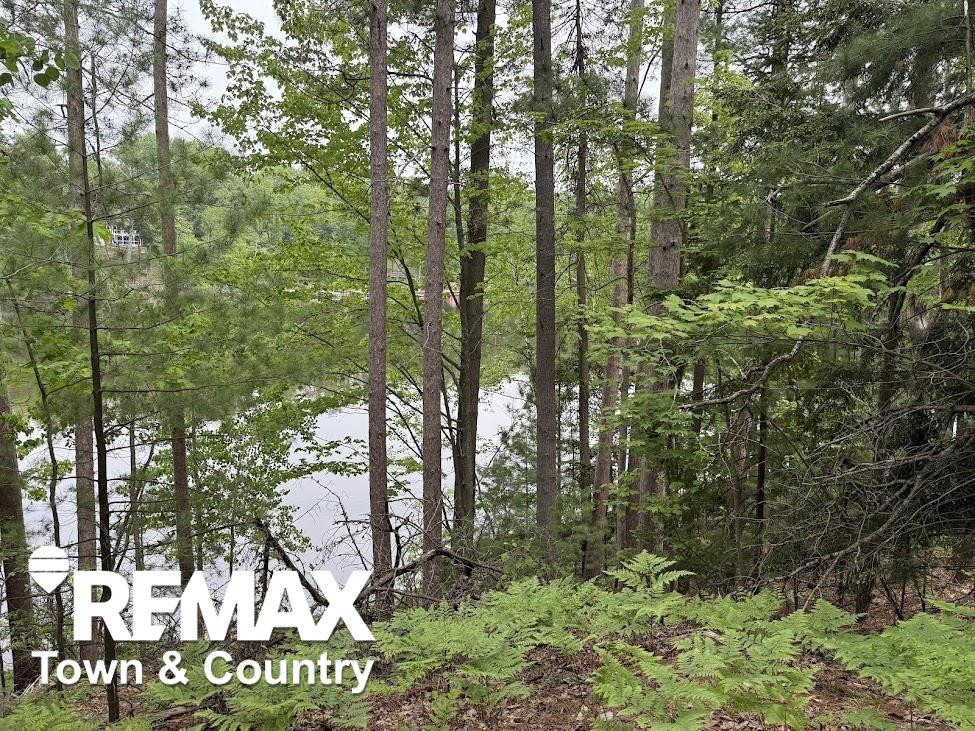 6450 Otter Trail, Alger, MI 48610 — Photo 4
