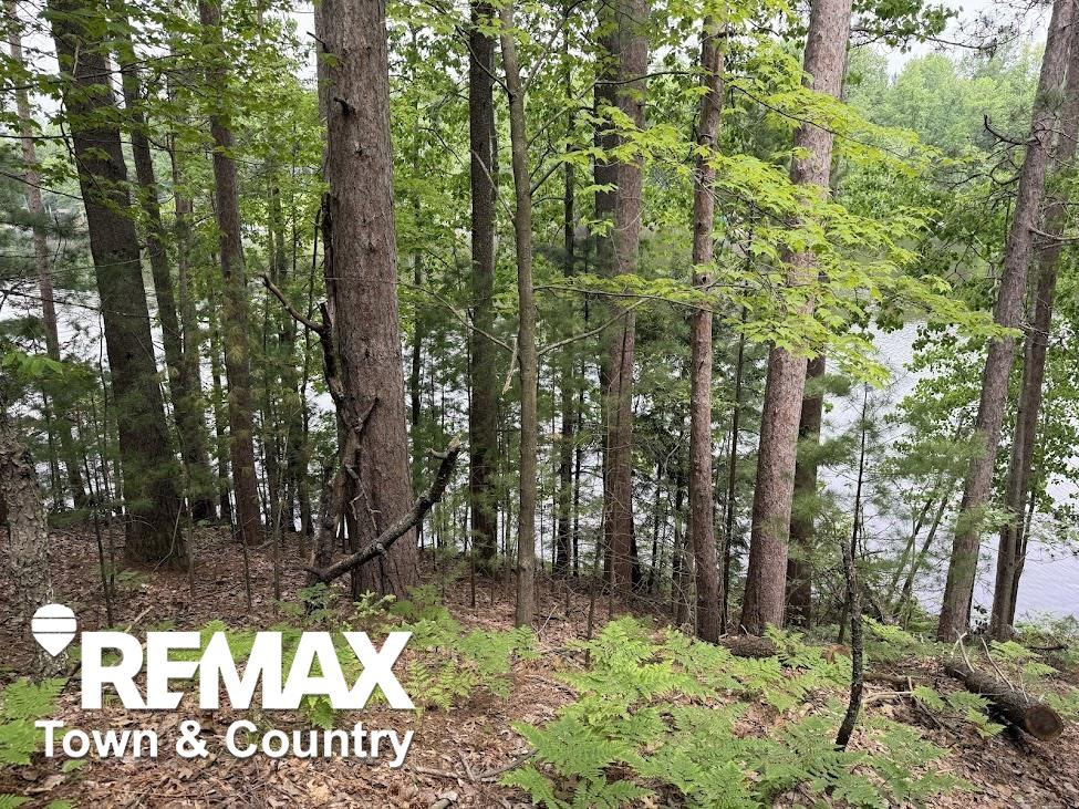 6450 Otter Trail, Alger, MI 48610 — Photo 12