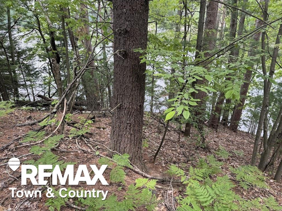 6450 Otter Trail, Alger, MI 48610 — Photo 13