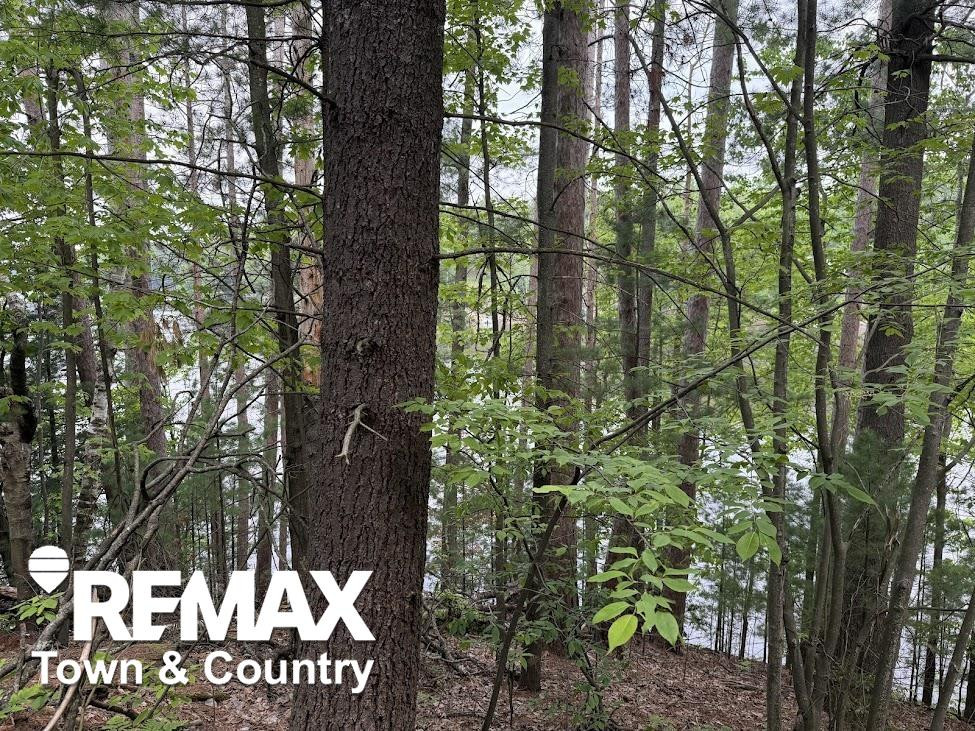 6450 Otter Trail, Alger, MI 48610 — Photo 14