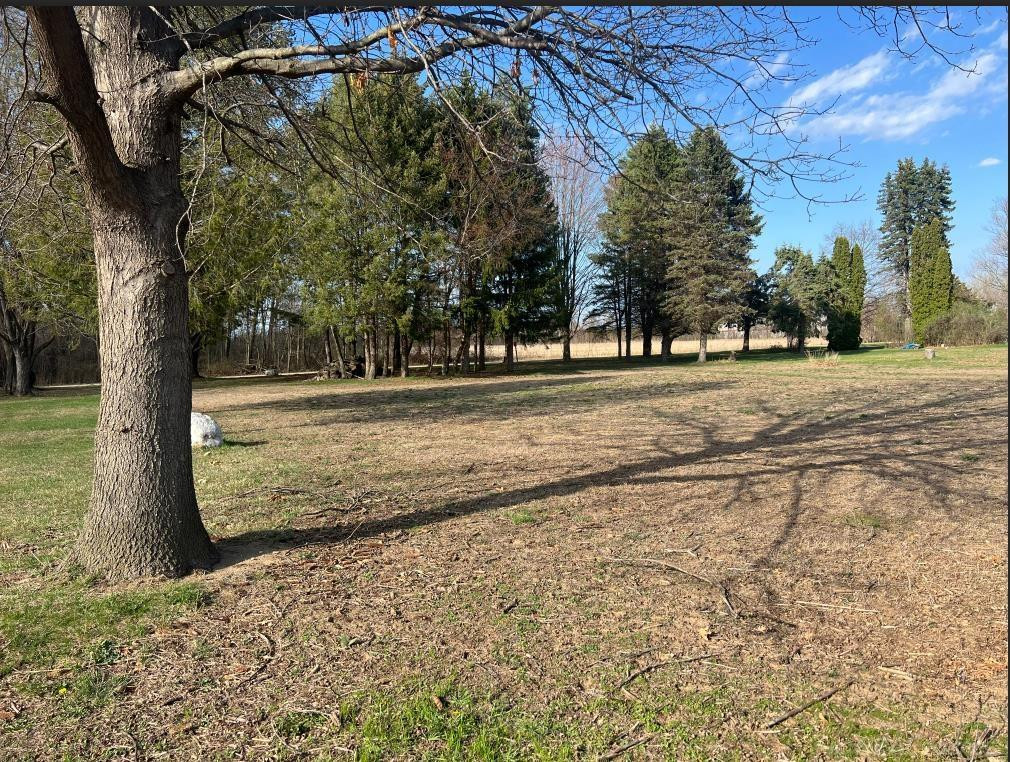 24496 renata Drive, MI 48042