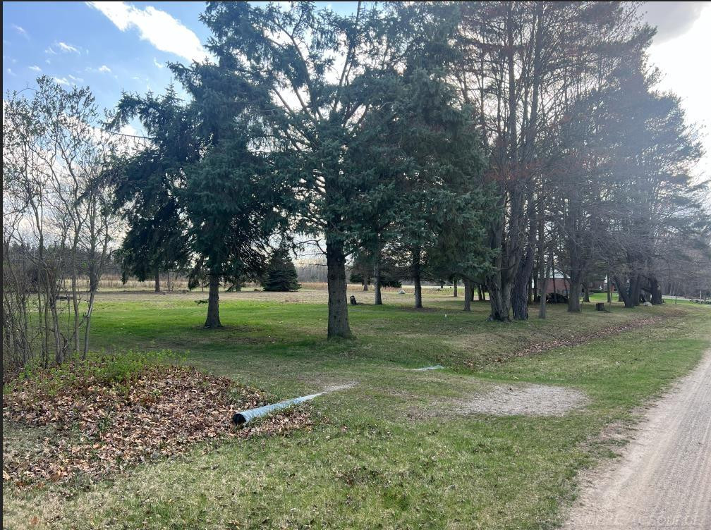 24496 renata Drive, MI 48042 — Photo 3