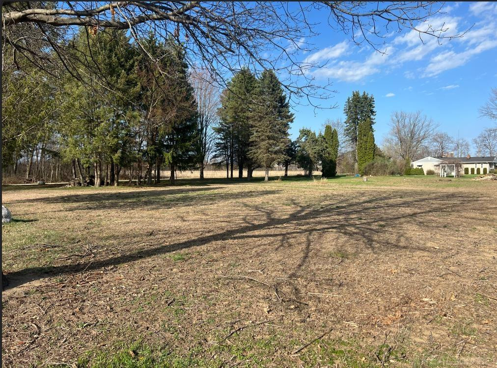 24496 renata Drive, MI 48042 — Photo 4