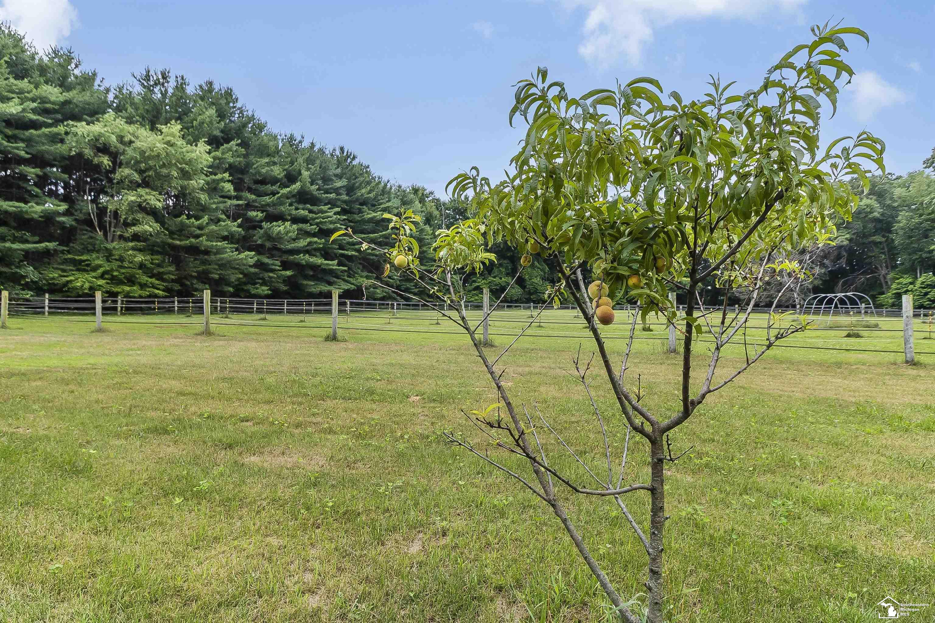 2600 Meanwell Road, Petersburg, MI 49270 — Photo 40