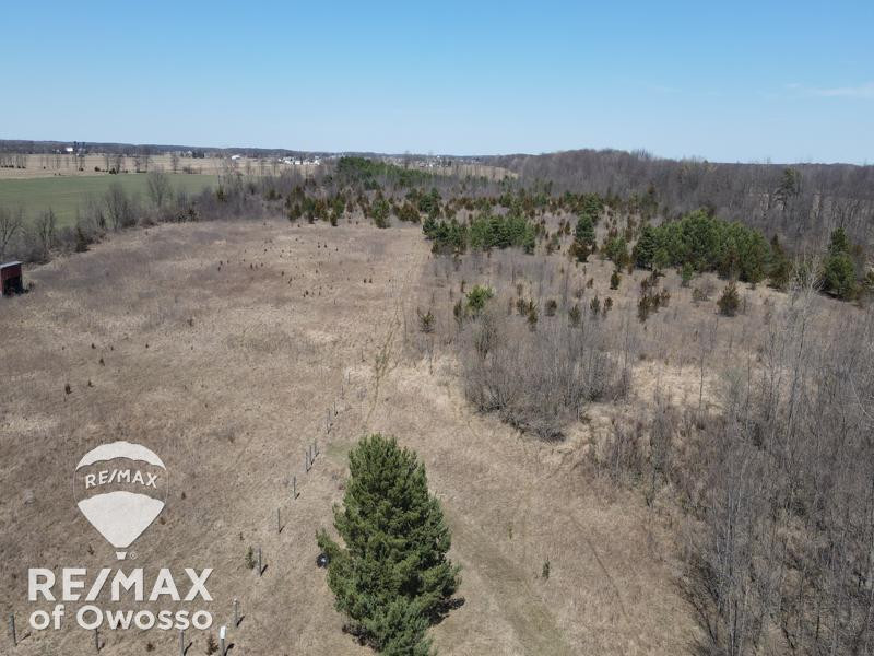 1590 W Mason Road, Owosso, MI 48867 — Photo 52