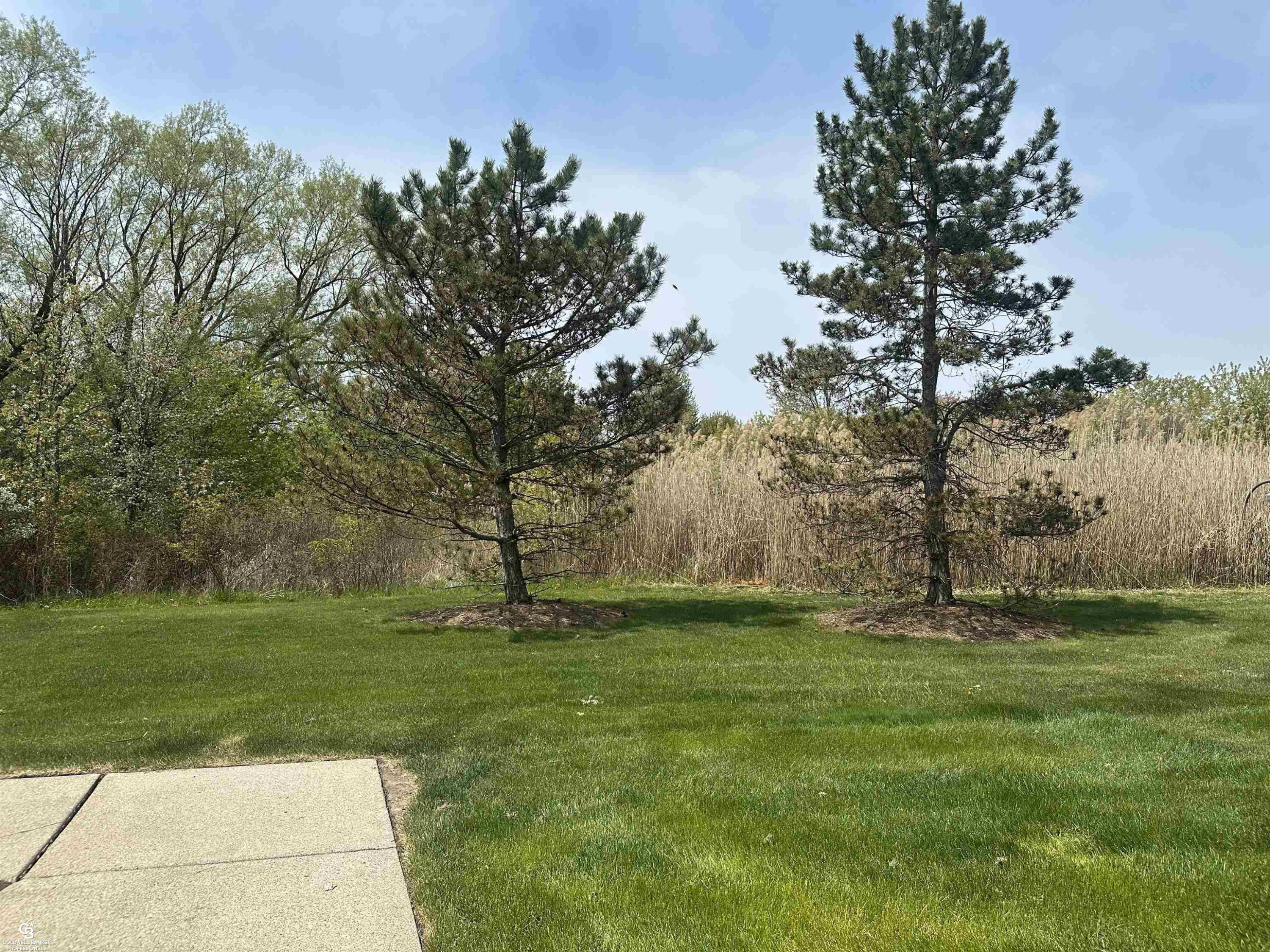 45805 Heather Ridge Drive, Macomb, MI 48044 — Photo 15