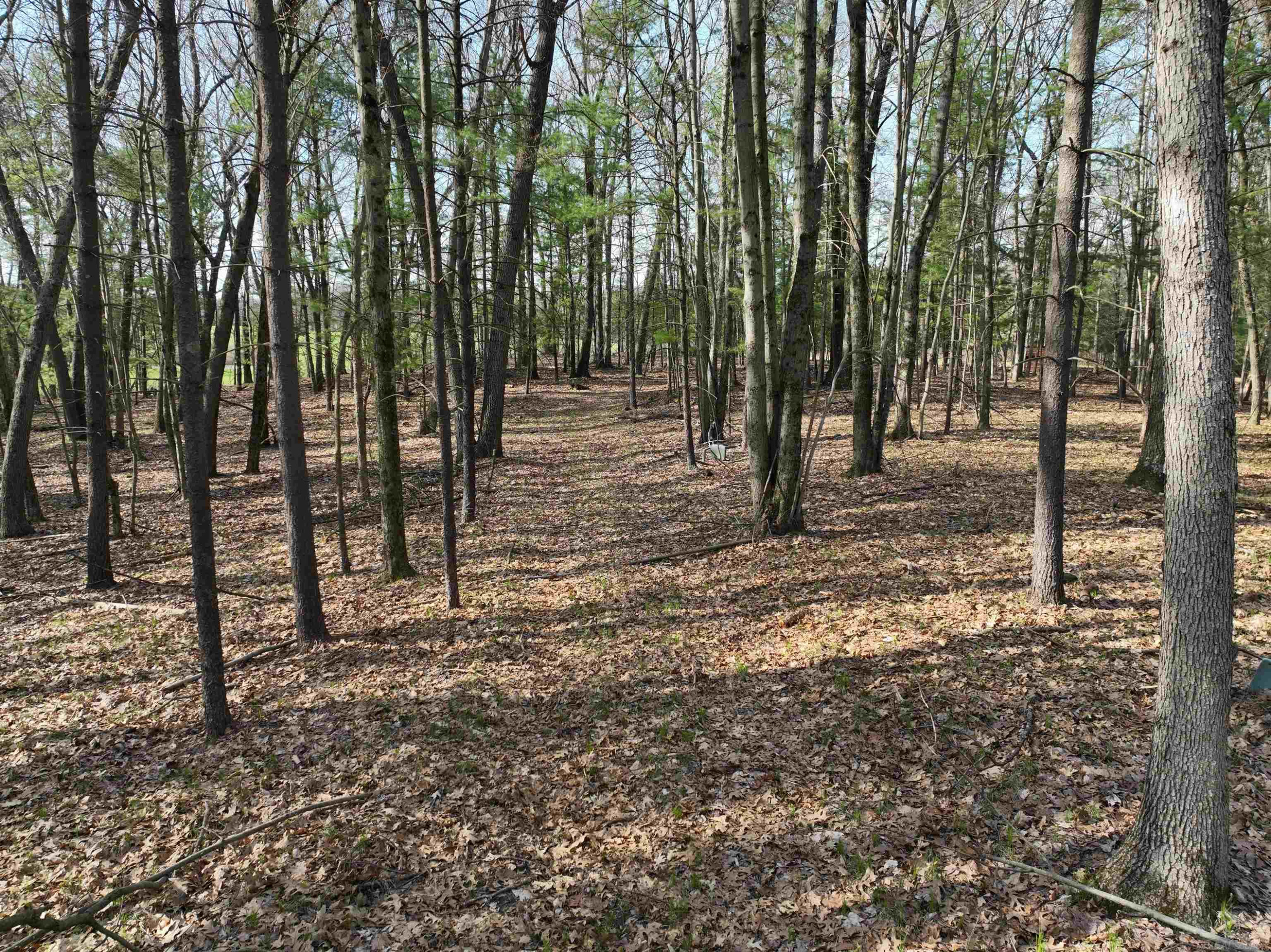 TBD E 72nd Street, Newaygo, MI 49337 — Photo 21