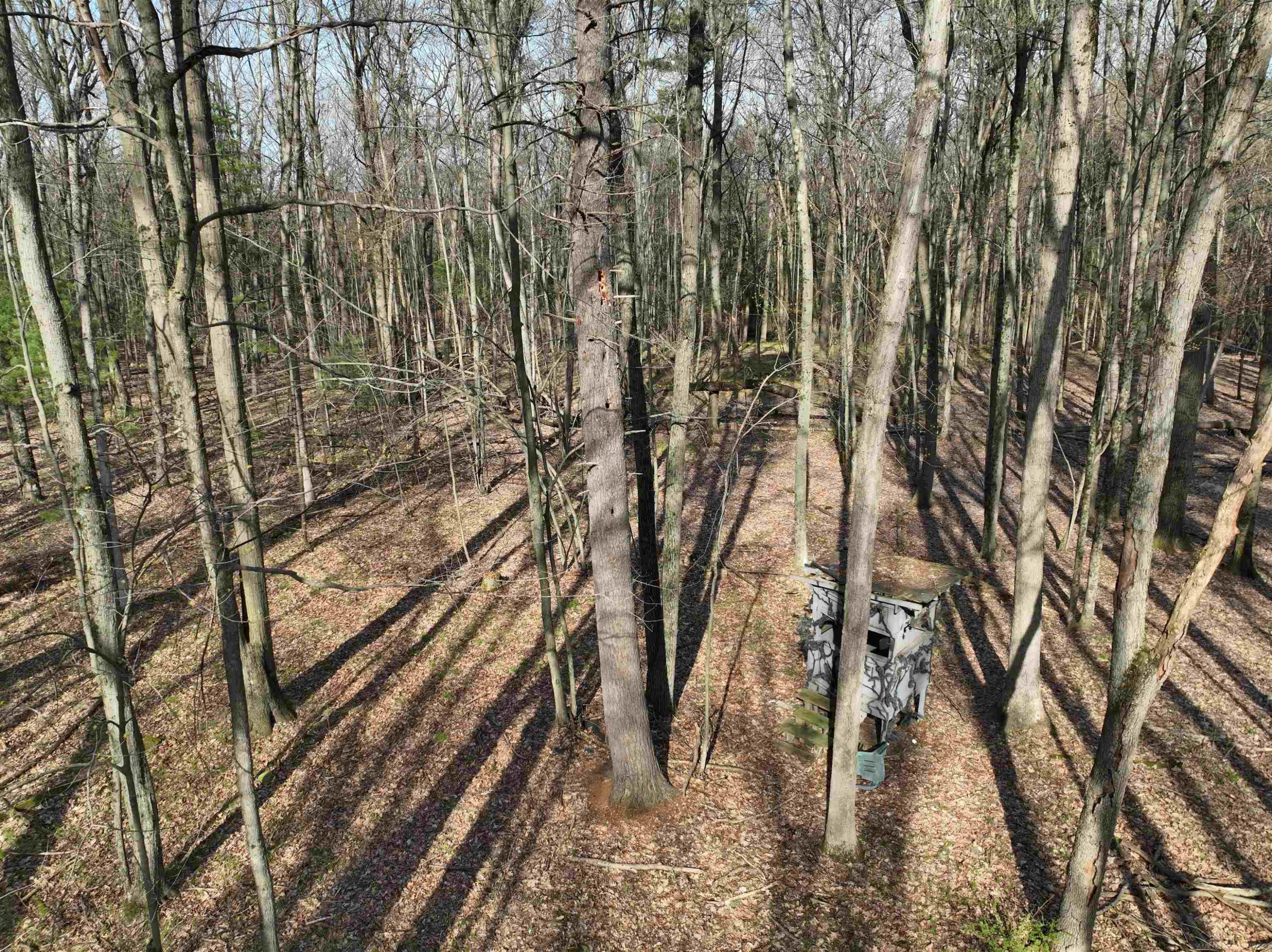 TBD E 72nd Street, Newaygo, MI 49337 — Photo 22