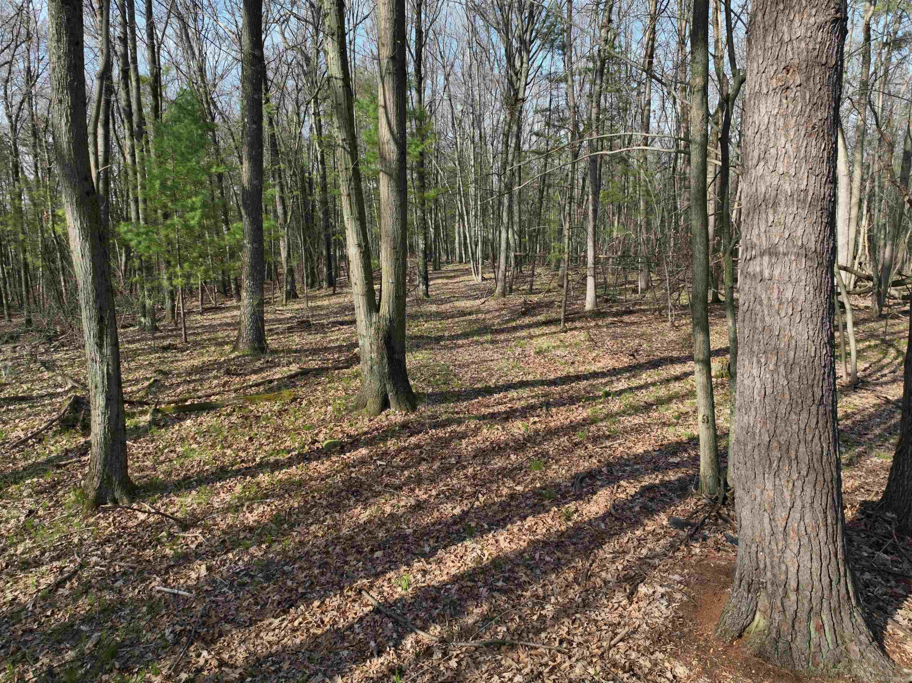 TBD E 72nd Street, Newaygo, MI 49337 — Photo 23