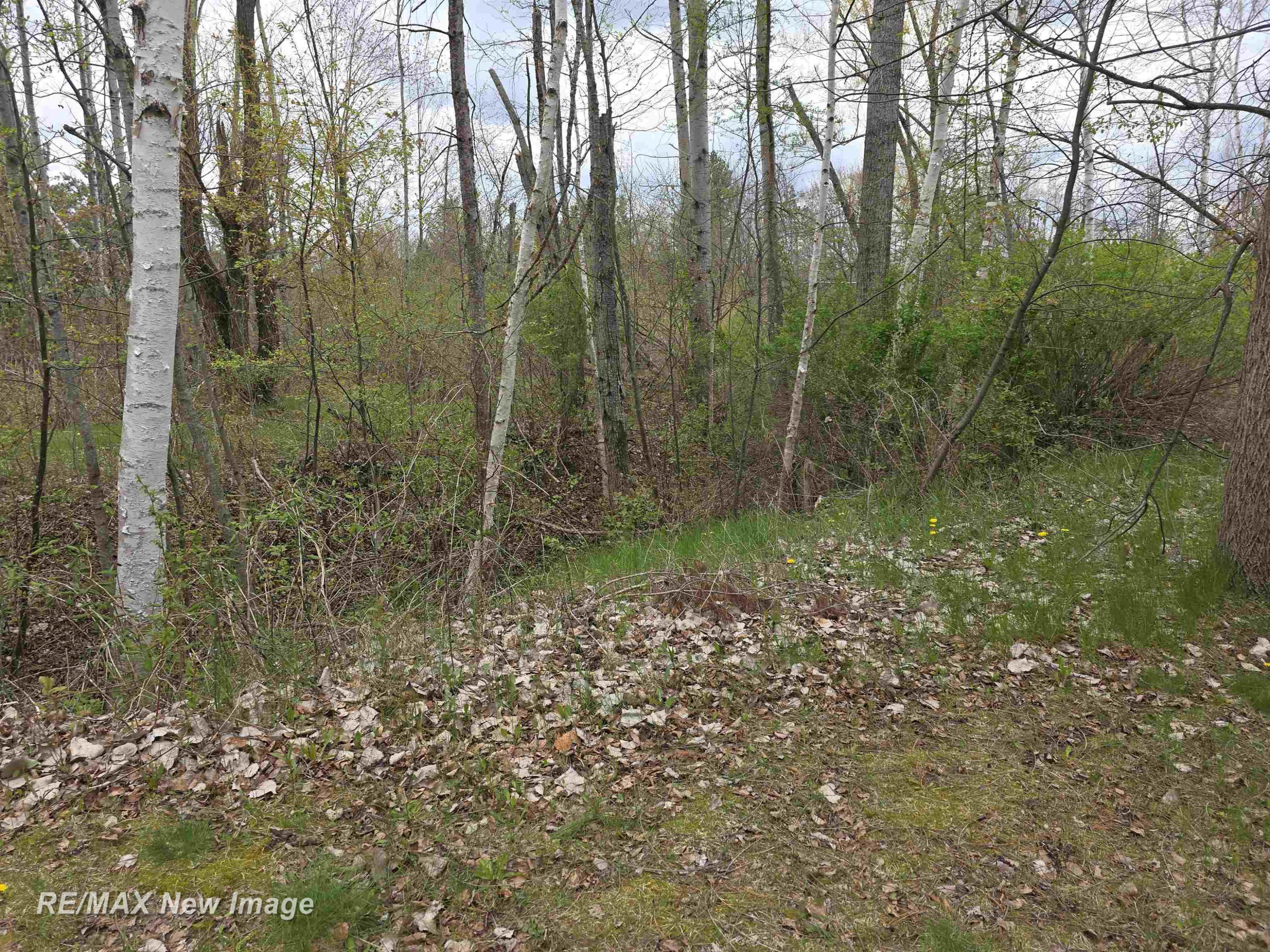 7469 Highland Drive, Alger, MI 48610 — Photo 48
