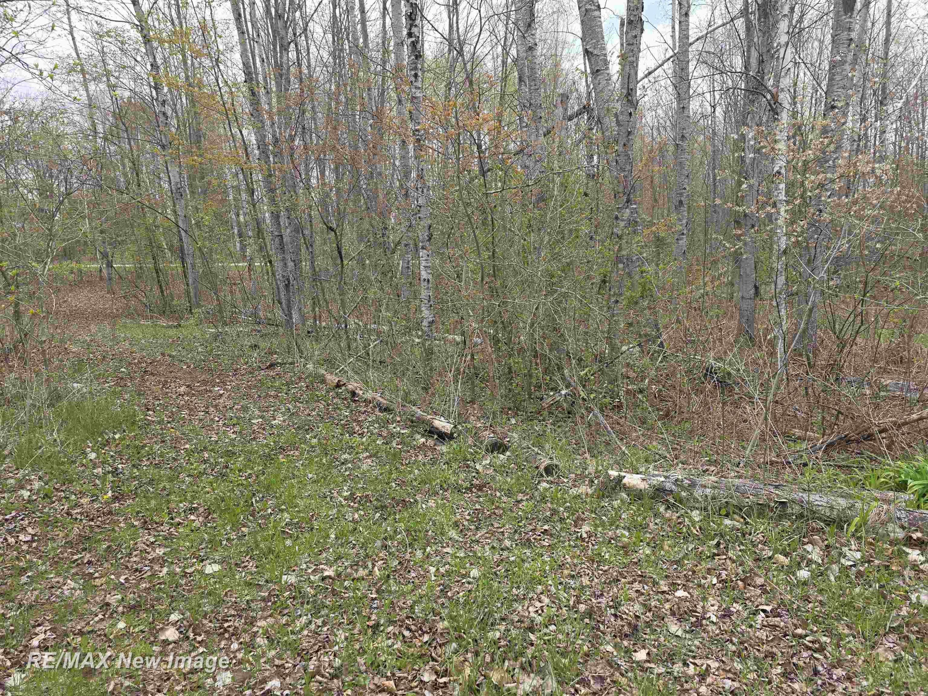 7469 Highland Drive, Alger, MI 48610 — Photo 51