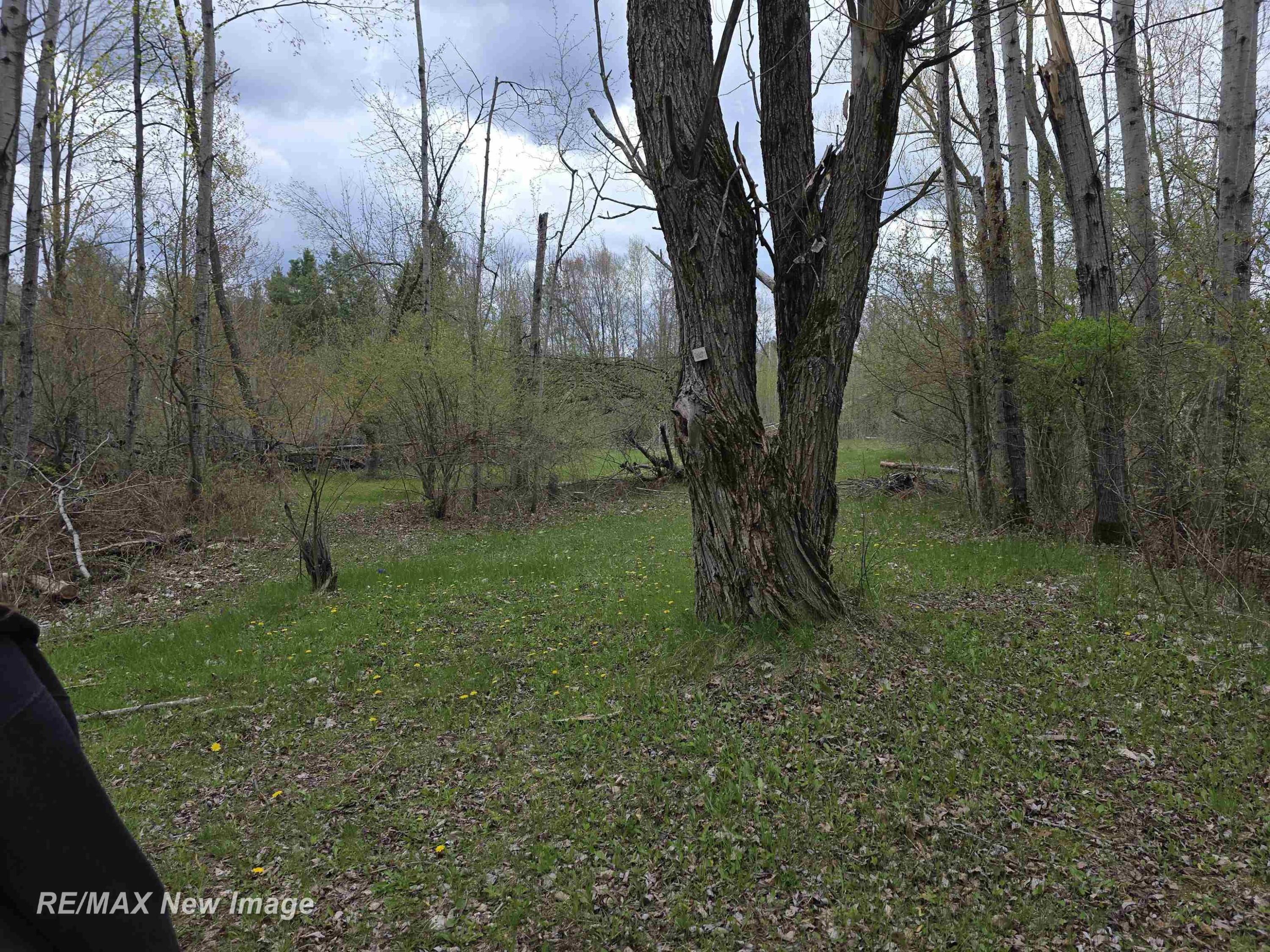 7469 Highland Drive, Alger, MI 48610 — Photo 52
